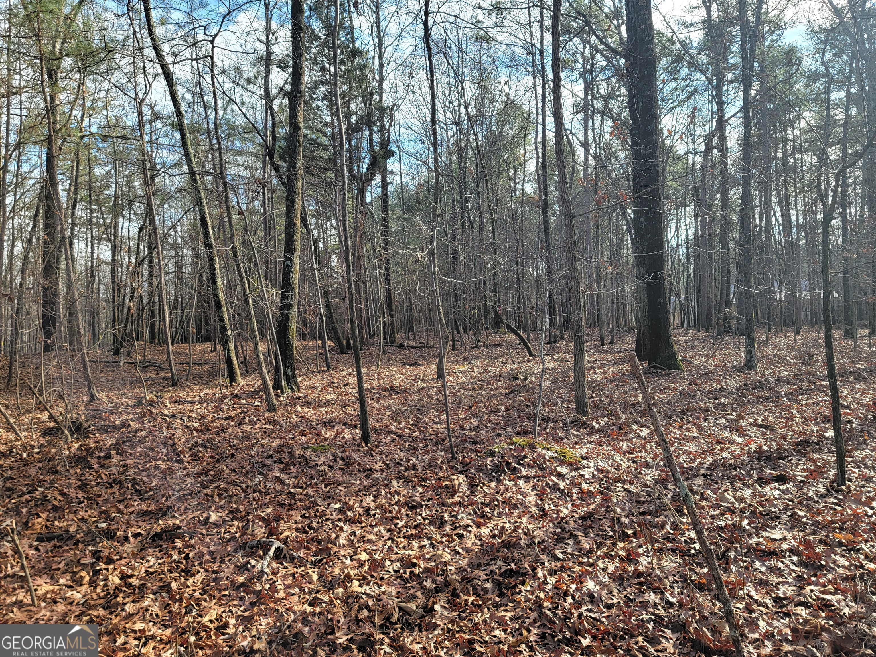 0 Rocky Hollow Road Property Photo 10