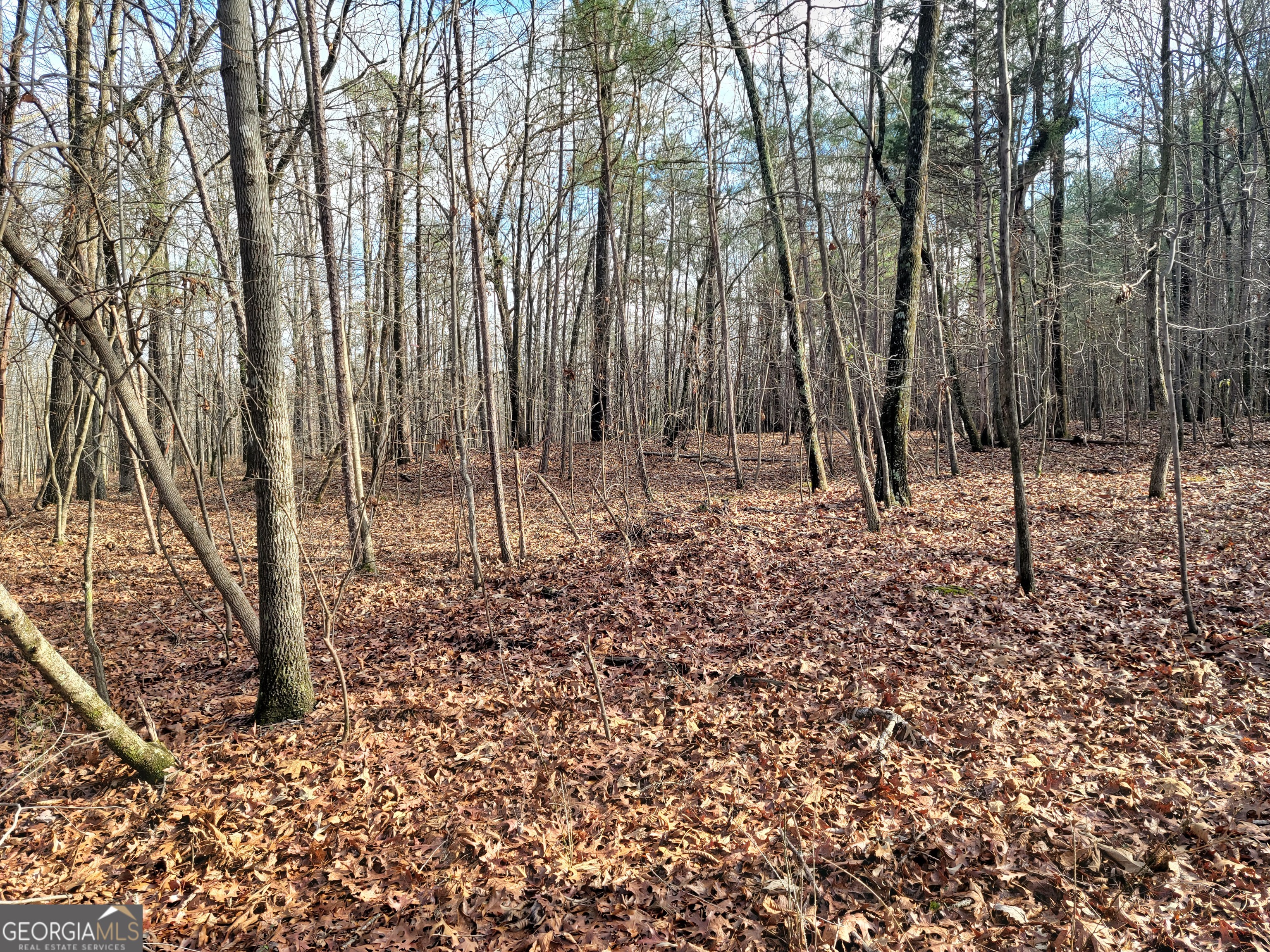 0 Rocky Hollow Road Property Photo 11