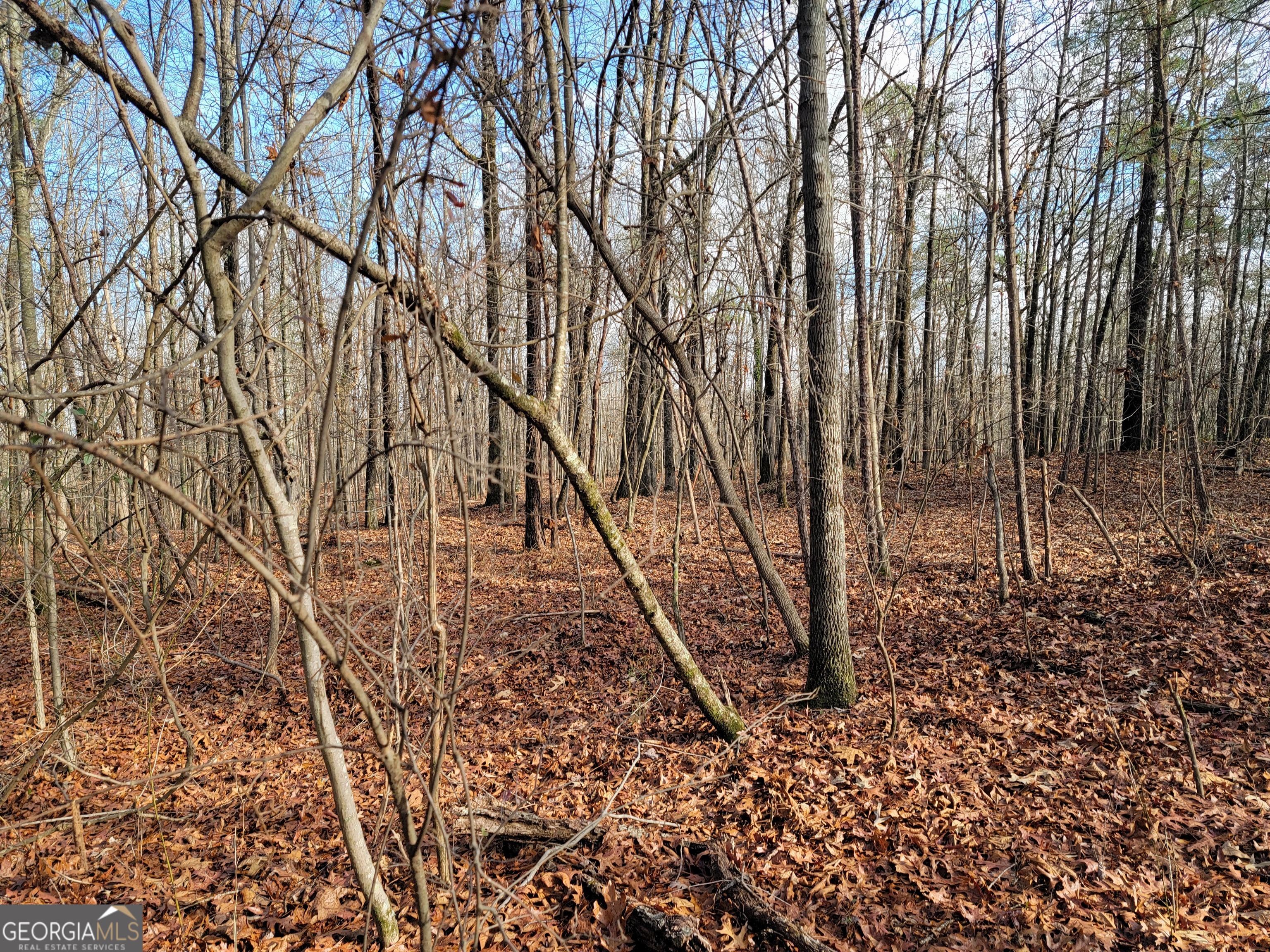 0 Rocky Hollow Road Property Photo 12