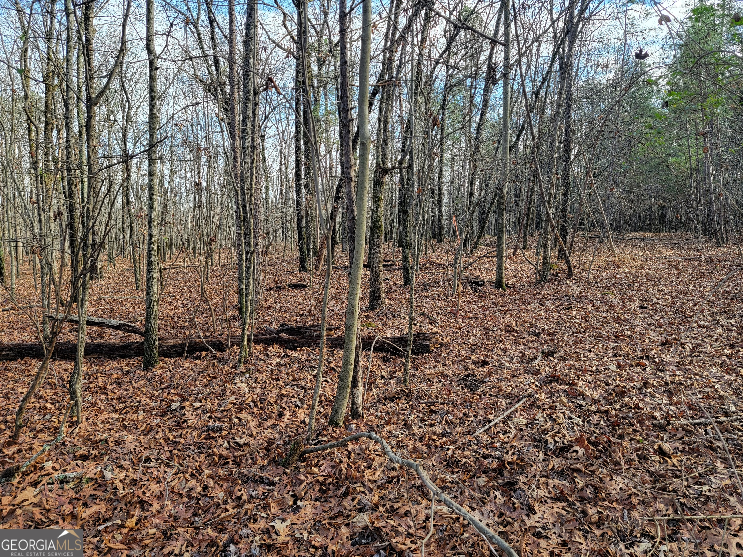 0 Rocky Hollow Road Property Photo 13