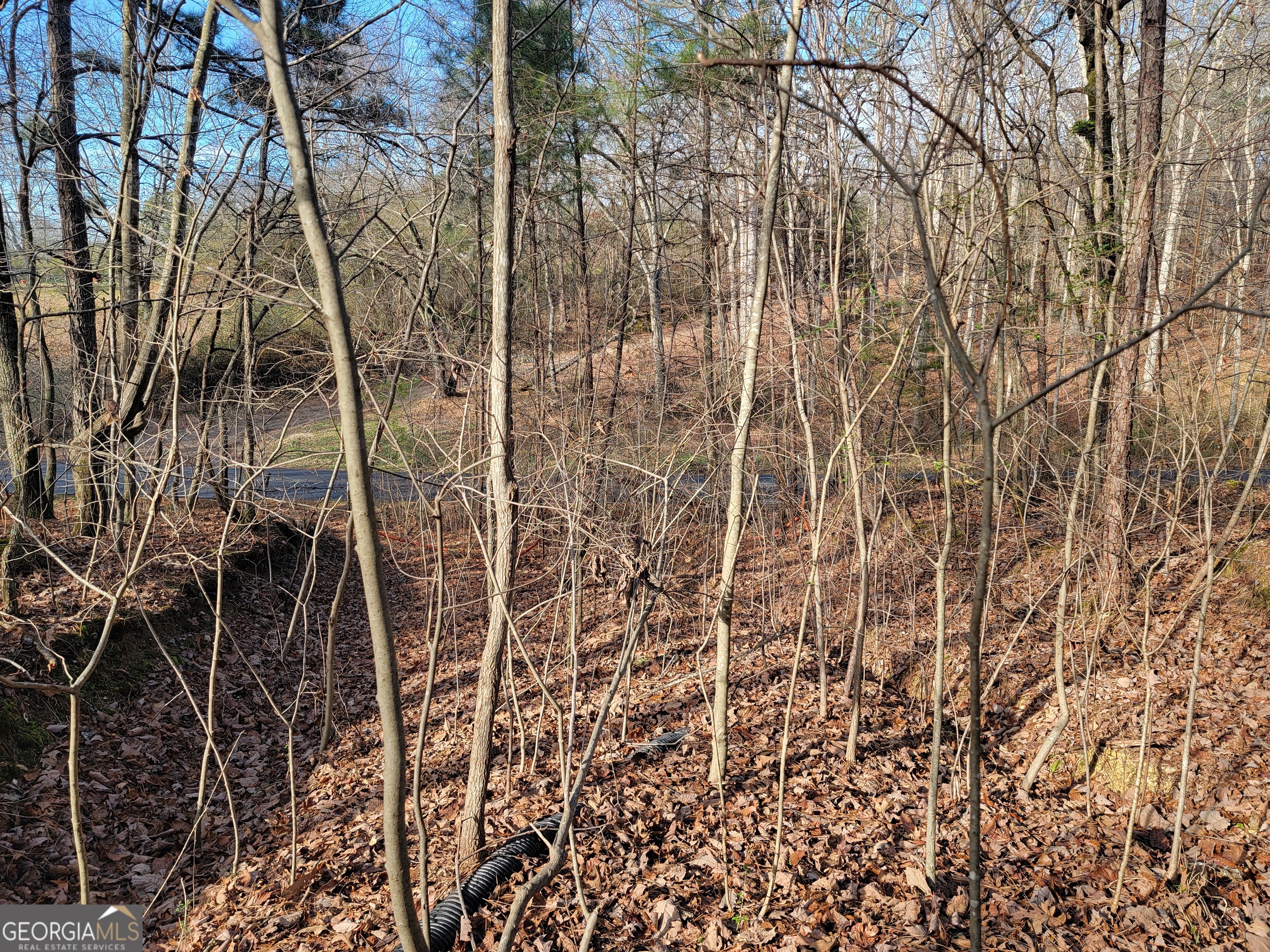 0 Rocky Hollow Road Property Photo 14