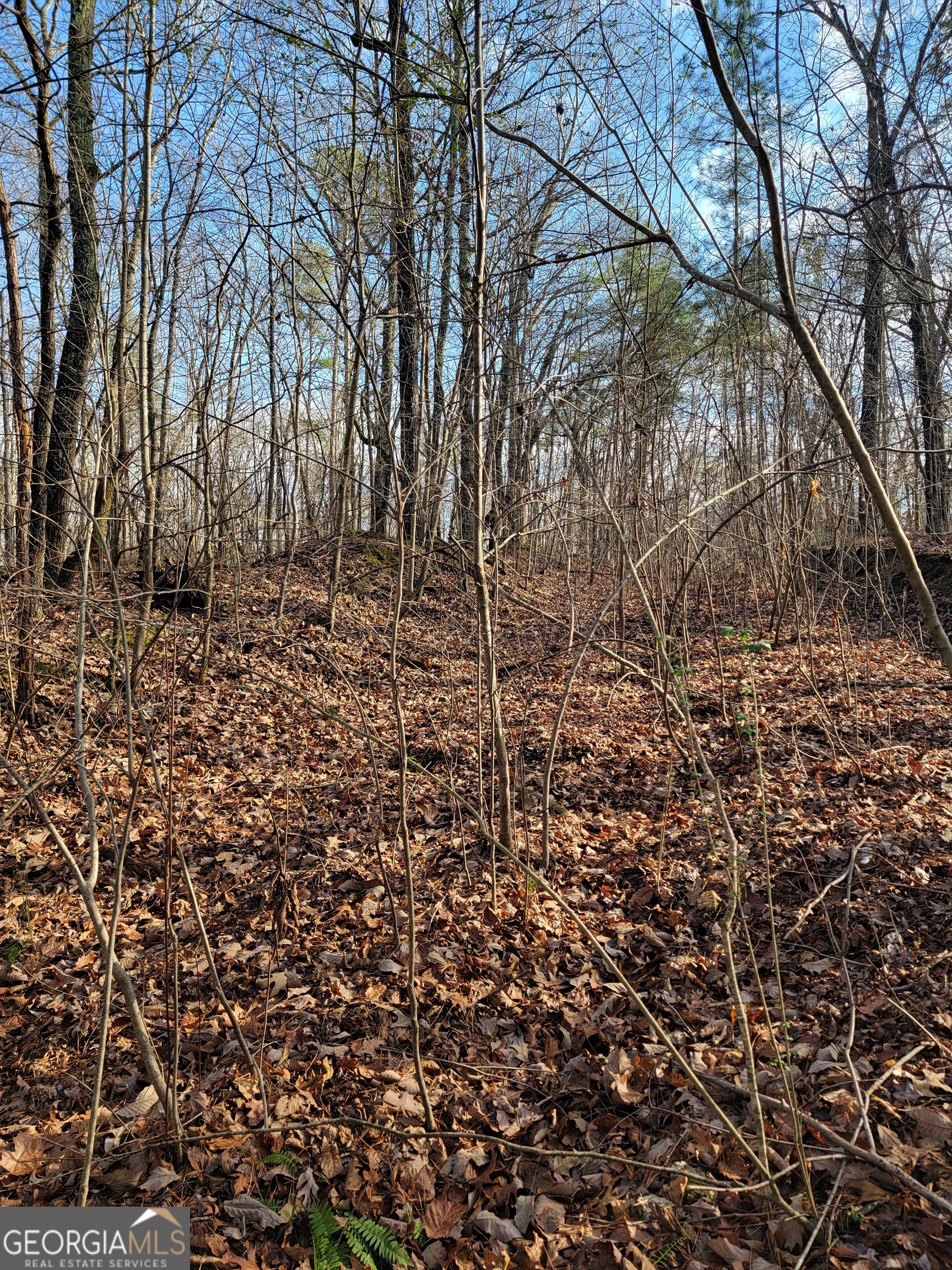 0 Rocky Hollow Road Property Photo 16
