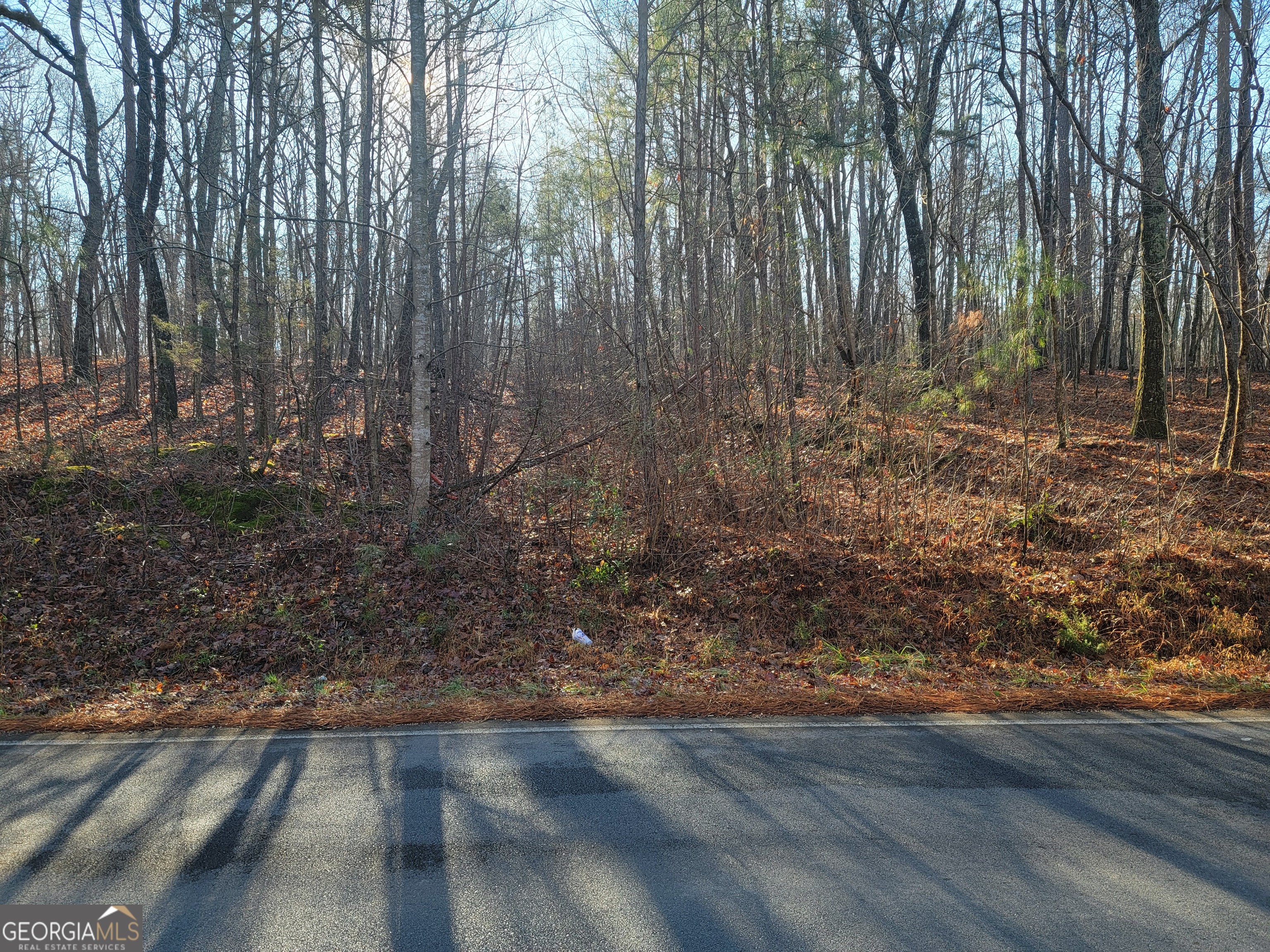 0 Rocky Hollow Road Property Photo 19