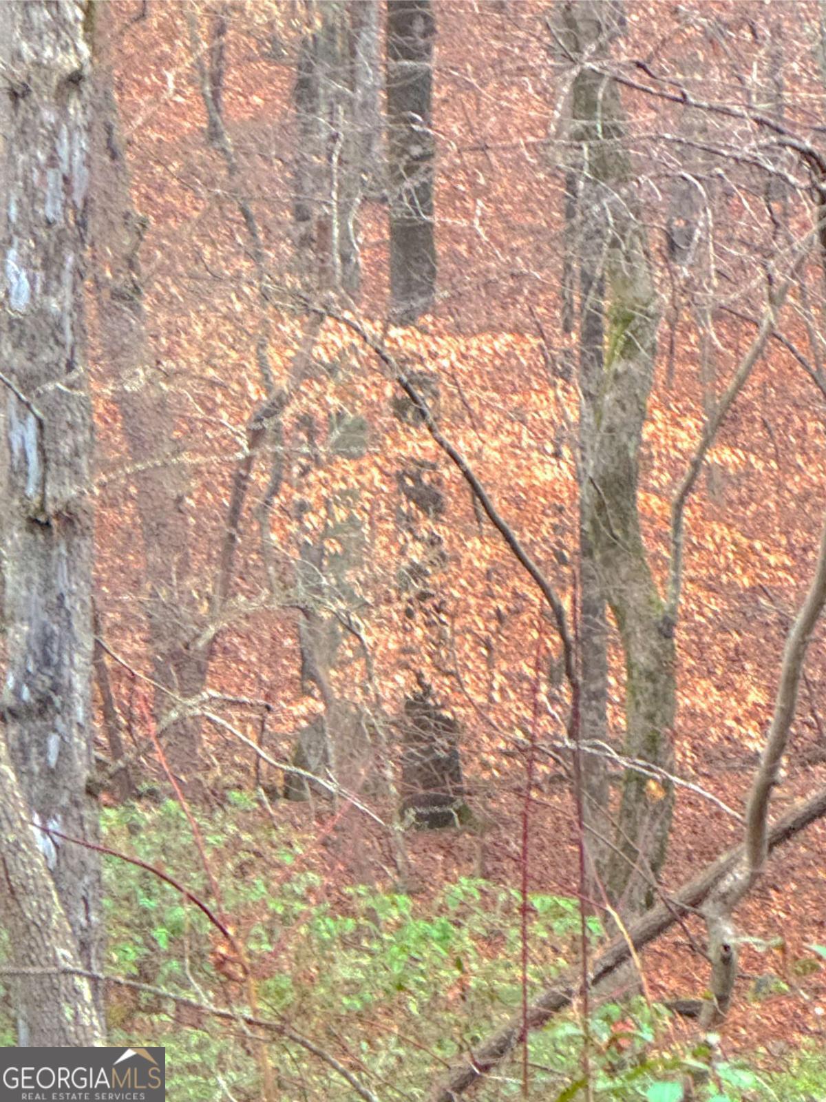 0 Crooked Creek Property Photo 1