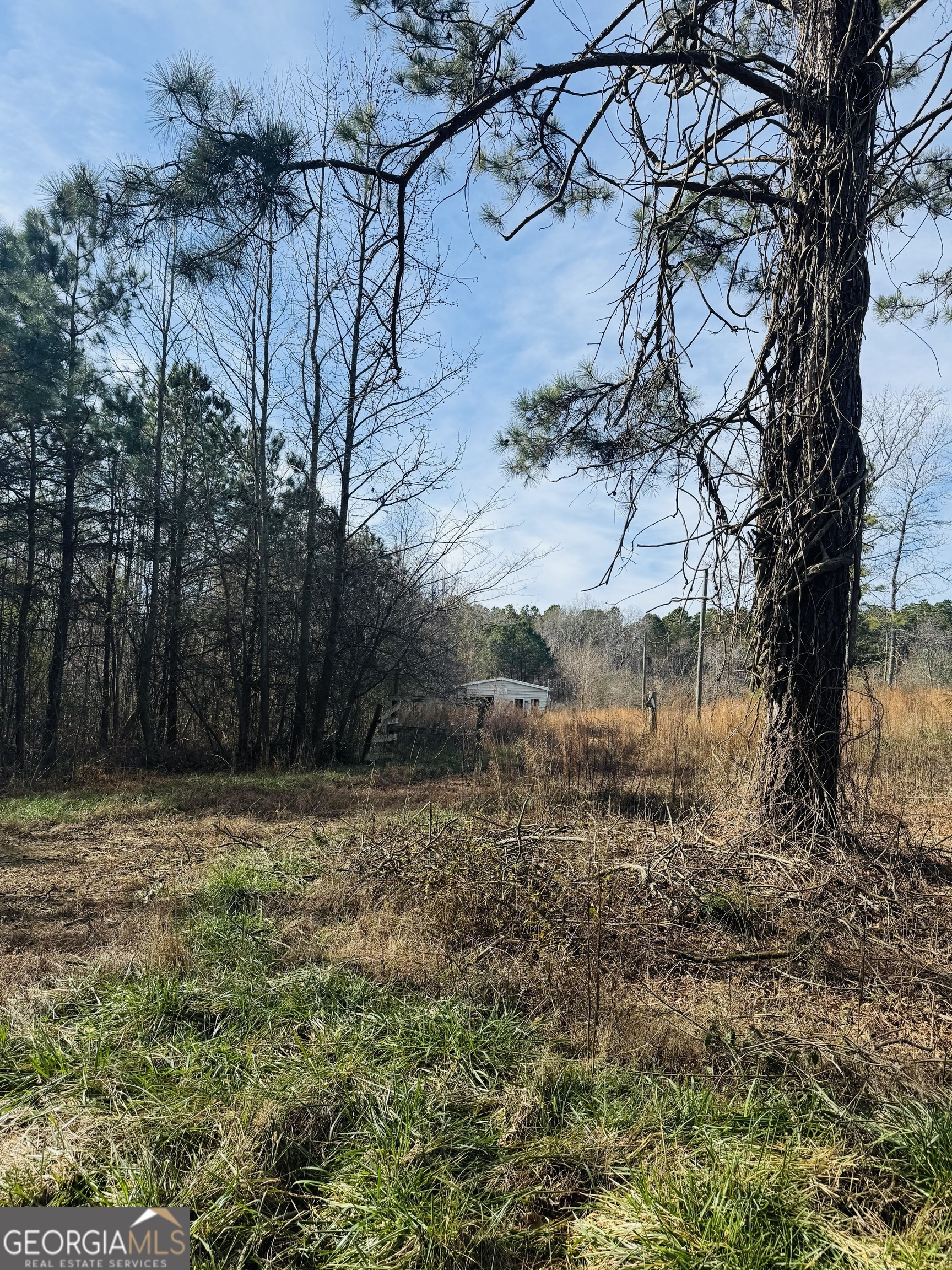 508 Mckibben Road Property Photo 5