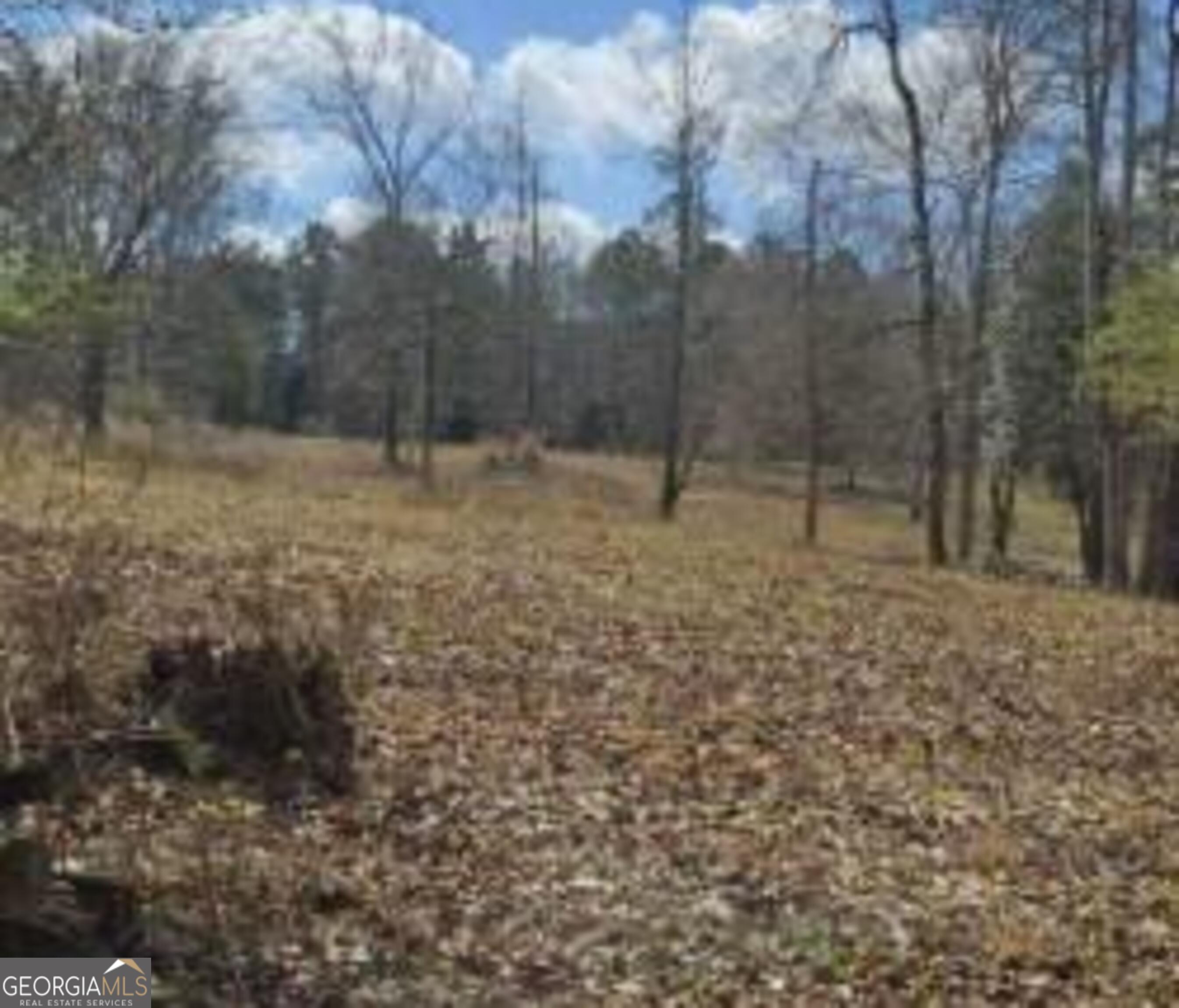 486 Walthall Road Property Photo 4