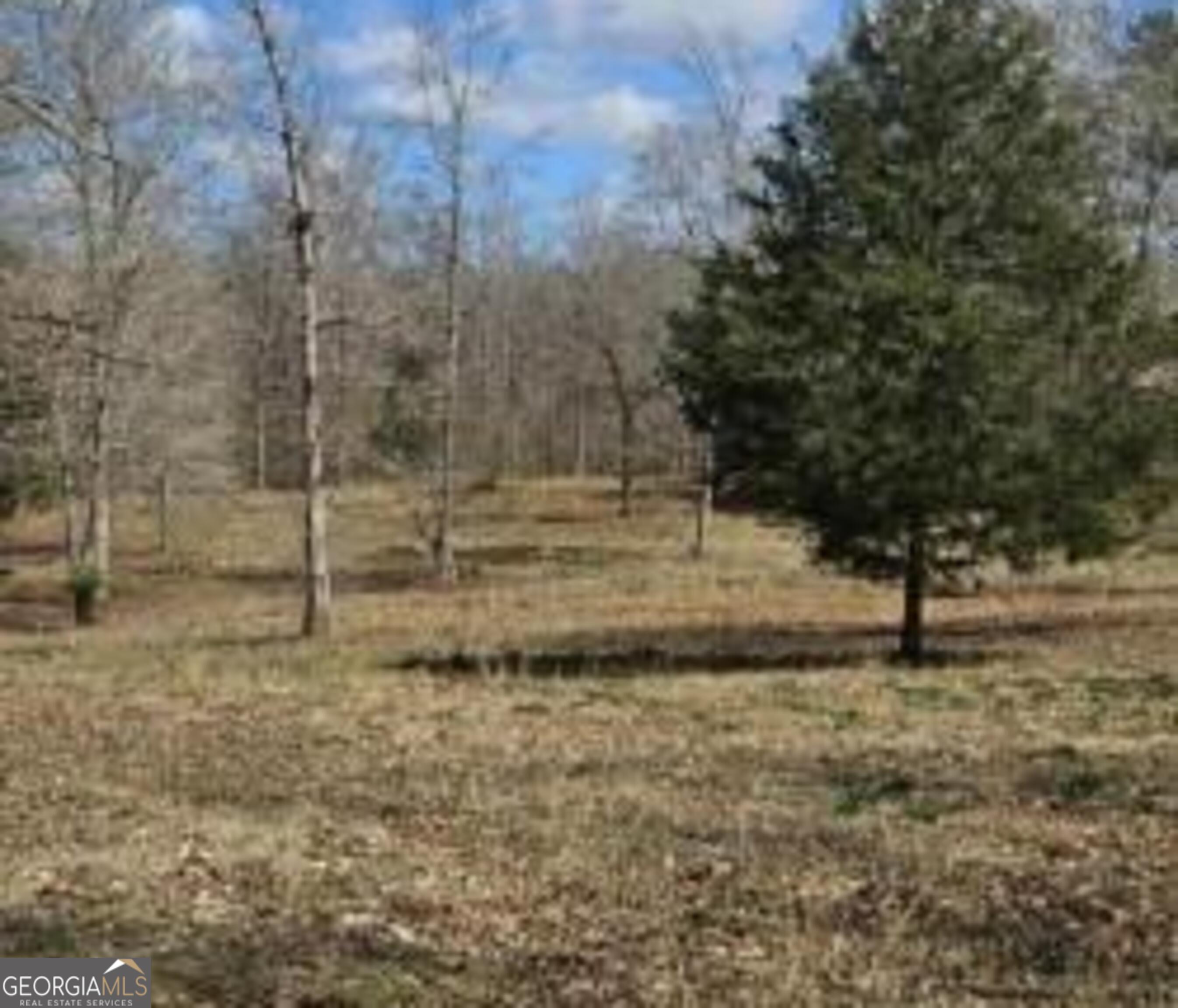 486 Walthall Road Property Photo 5