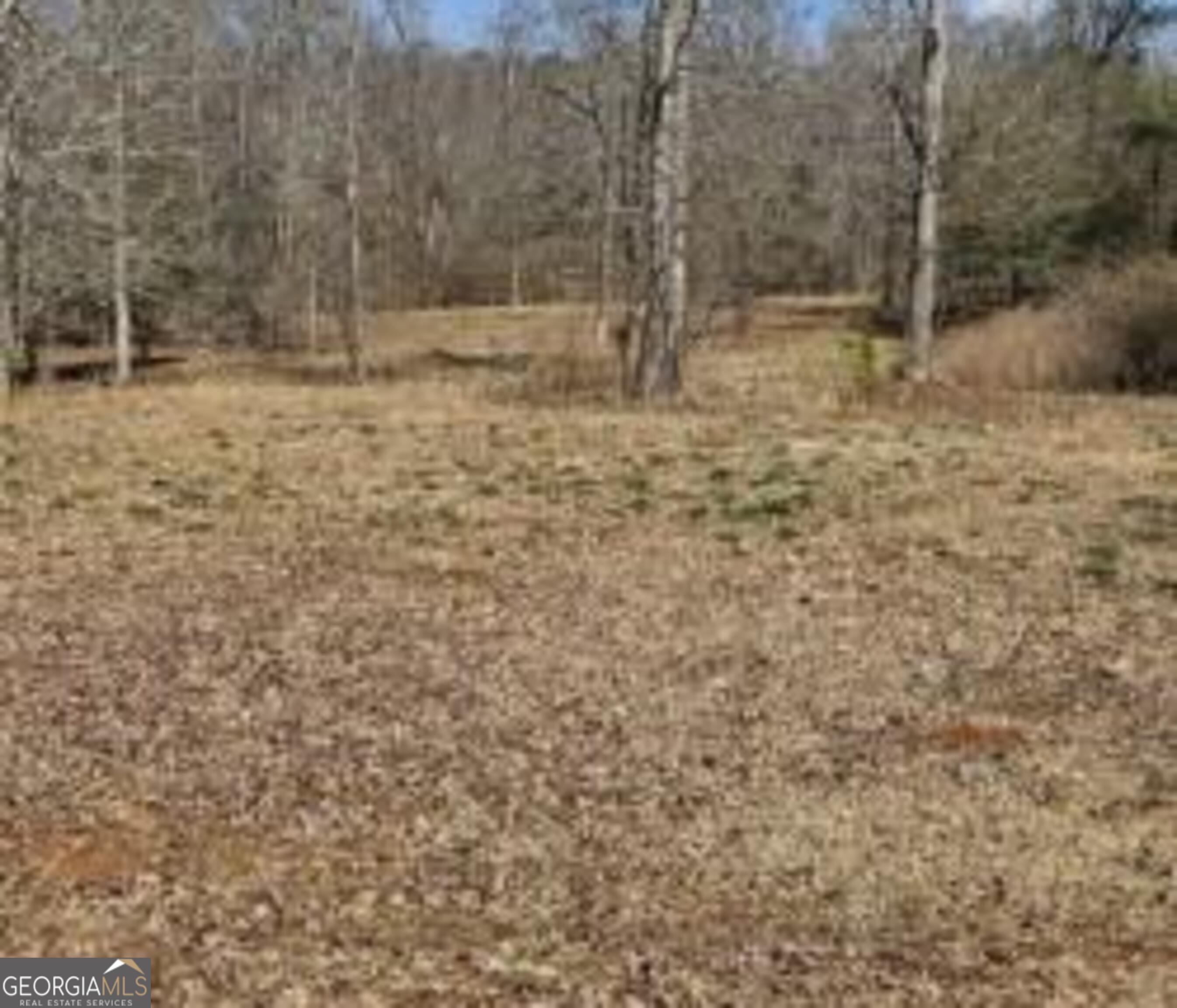 486 Walthall Road Property Photo 7