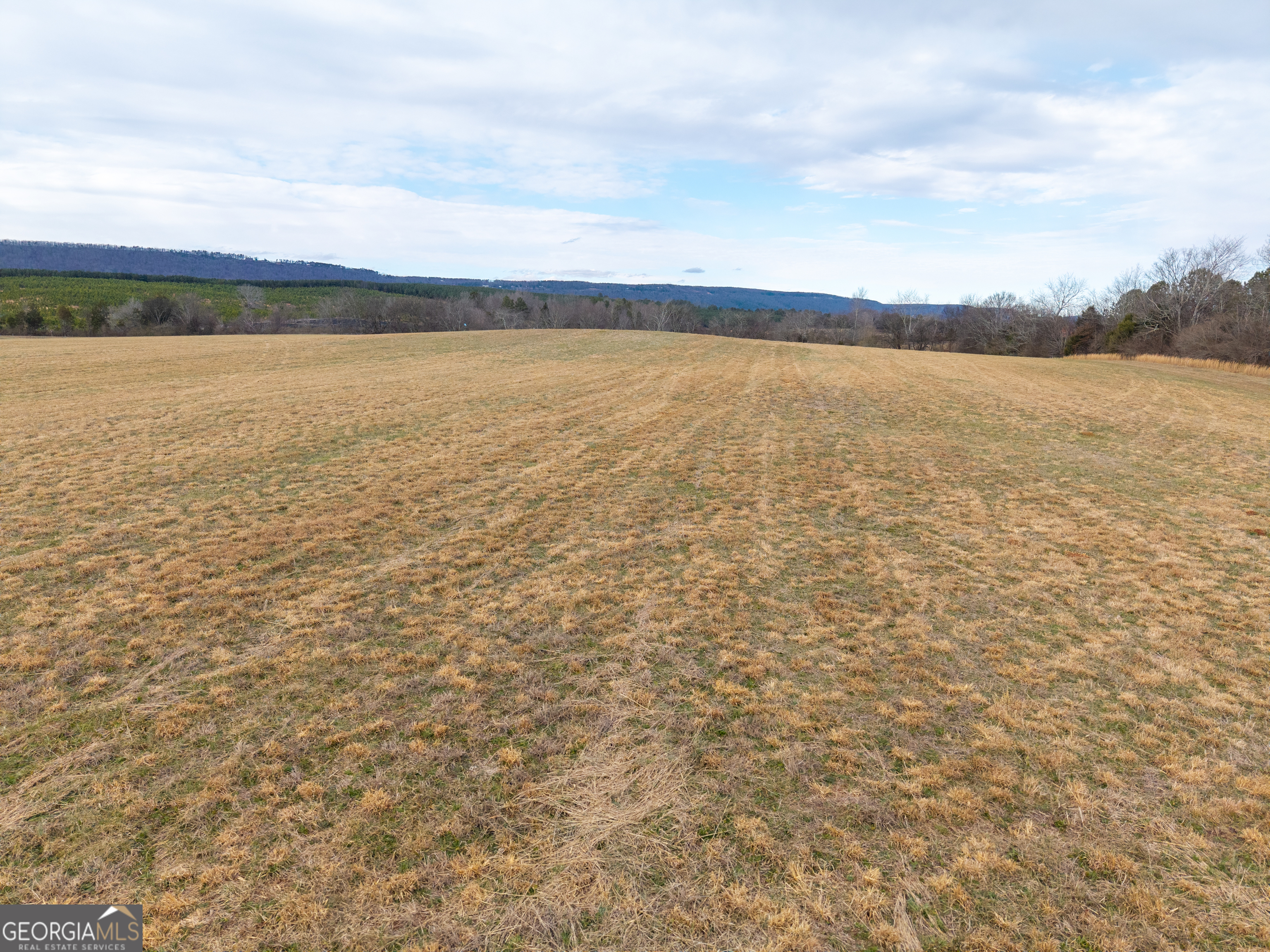 0 Old Hwy 337 Property Photo 6