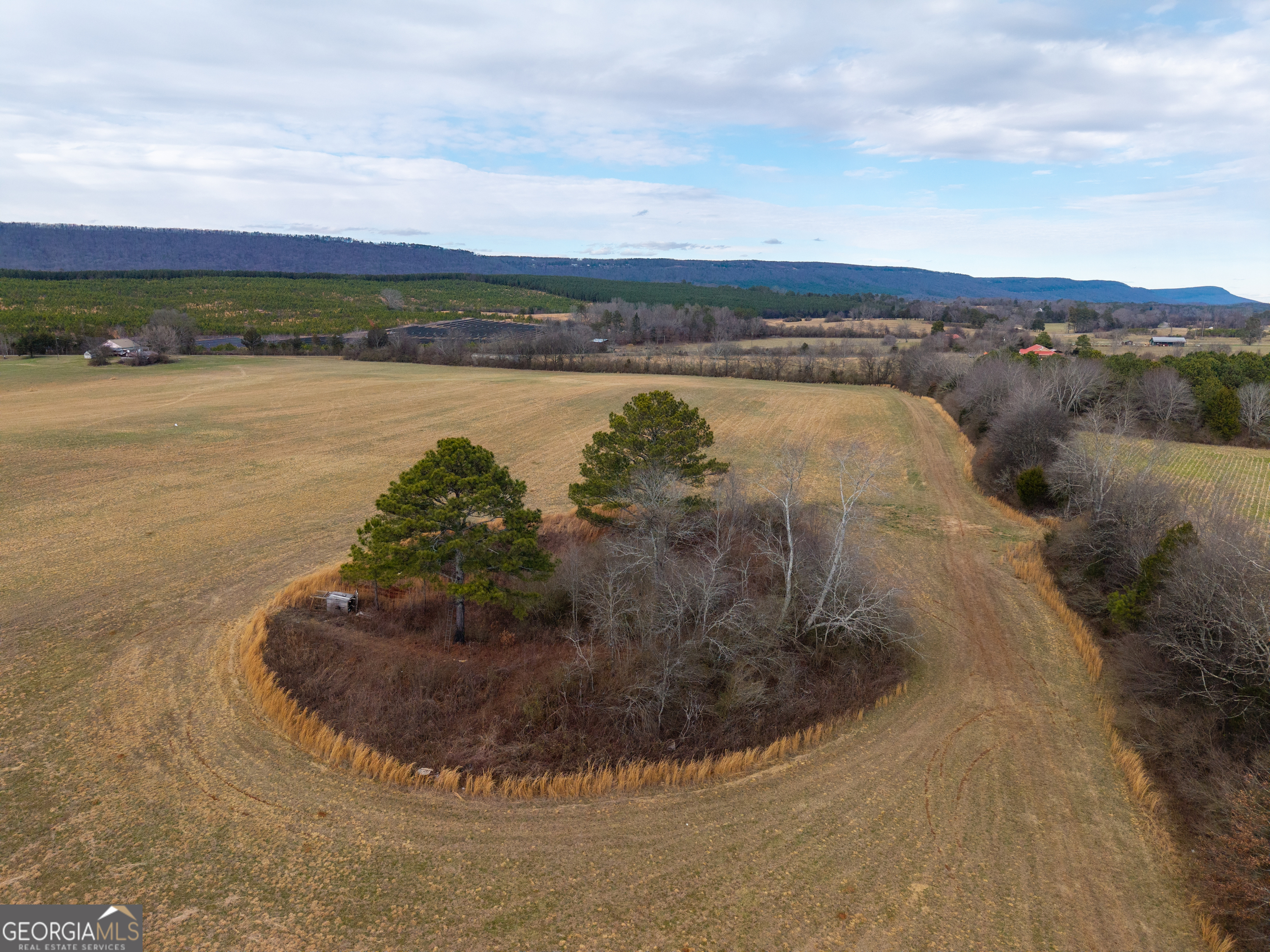 0 Old Hwy 337 Property Photo 7