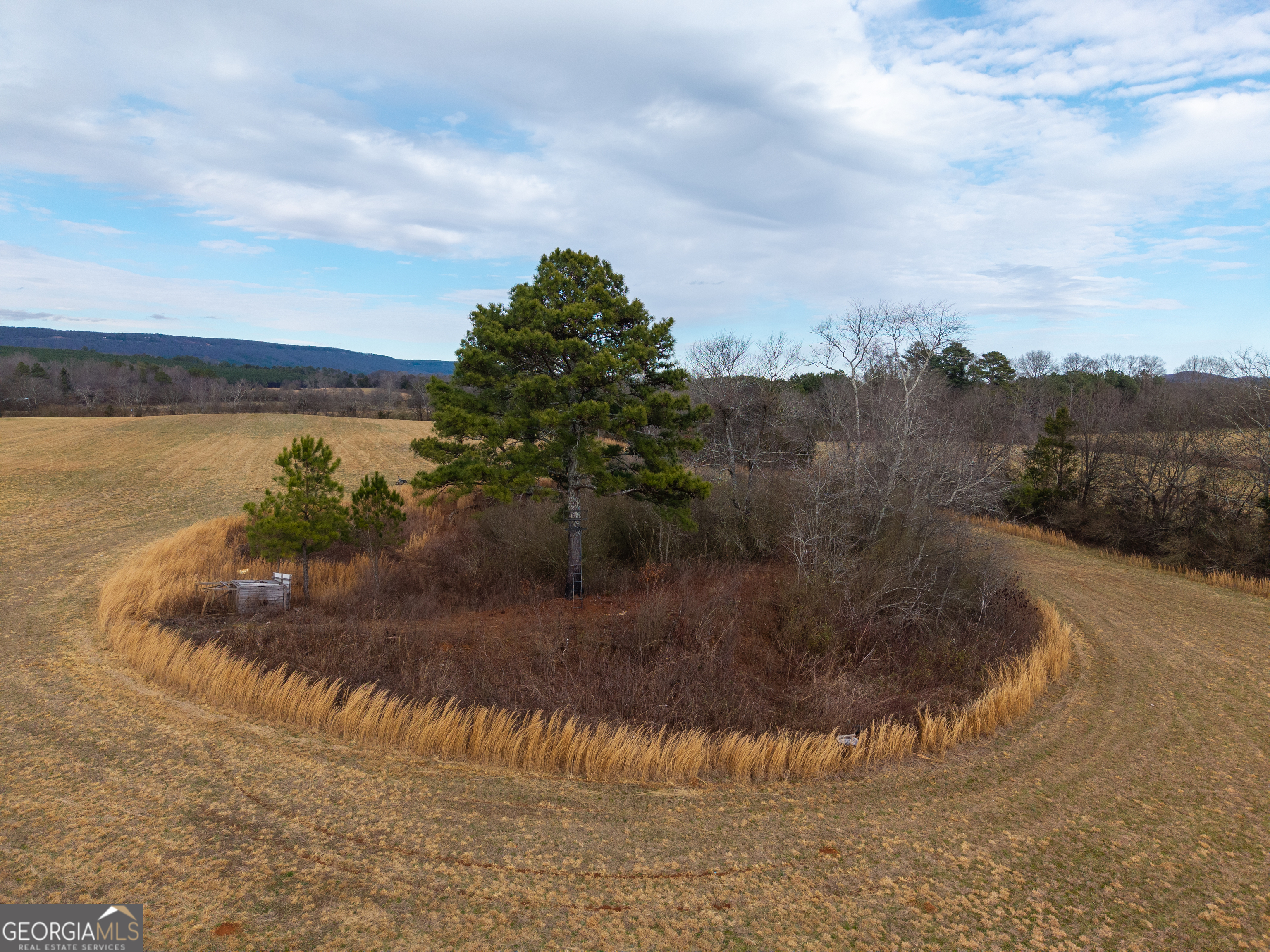 0 Old Hwy 337 Property Photo 9