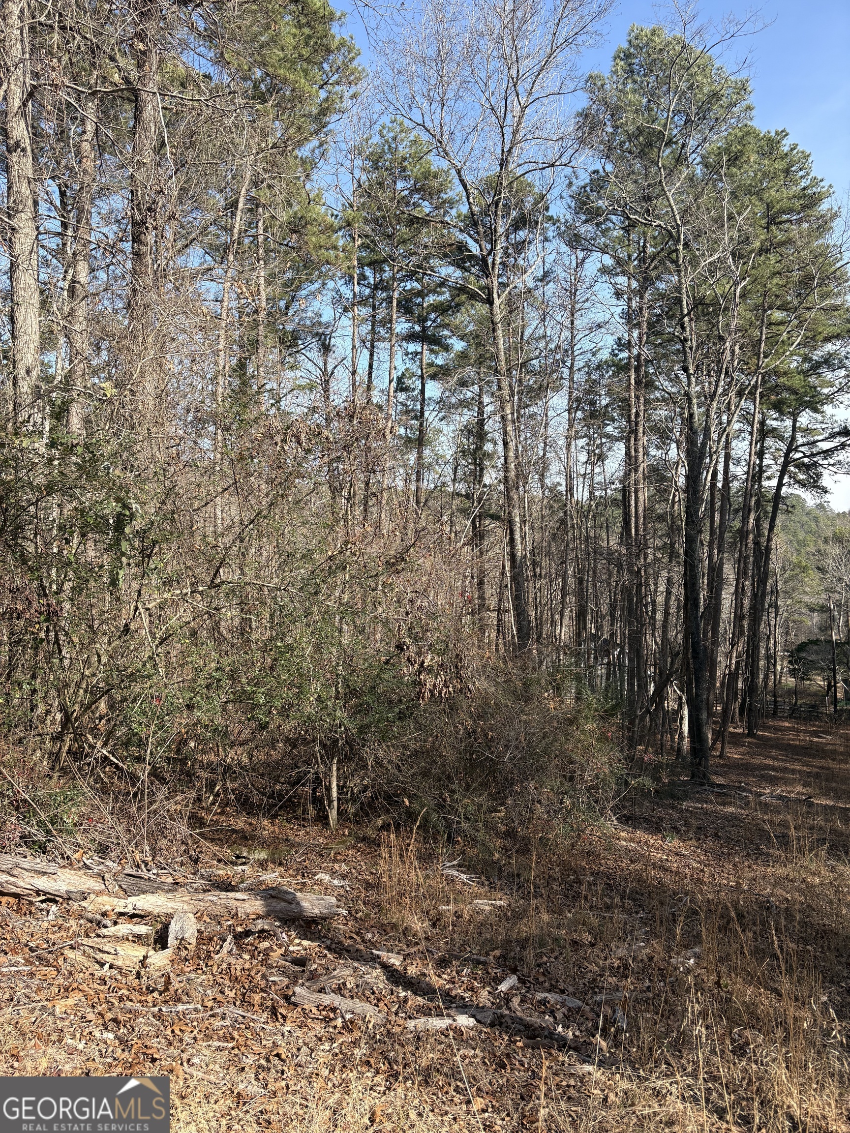 0 Radio Springs Road Property Photo 6