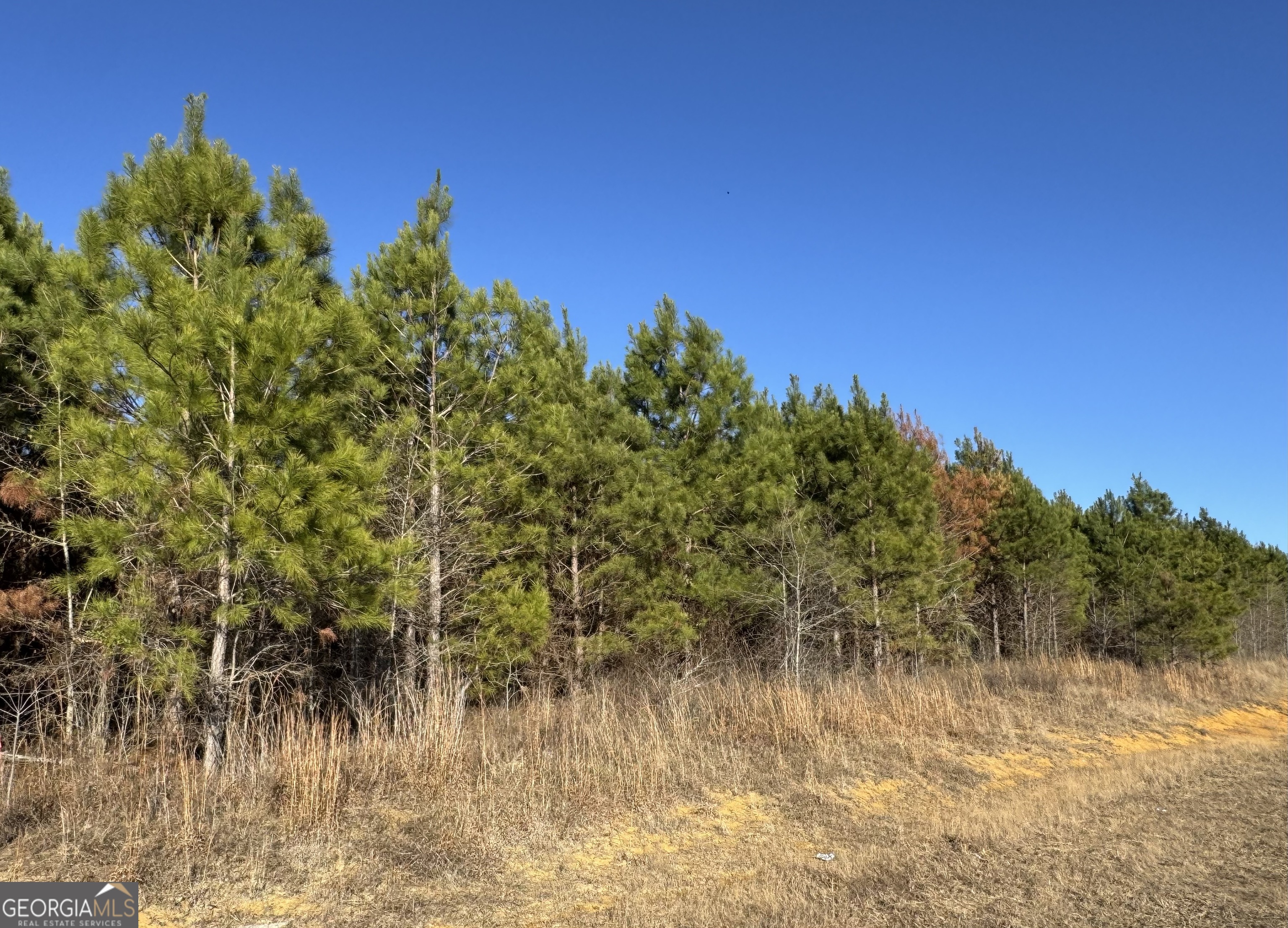 Lot 7a Whitfield Road Property Photo 3