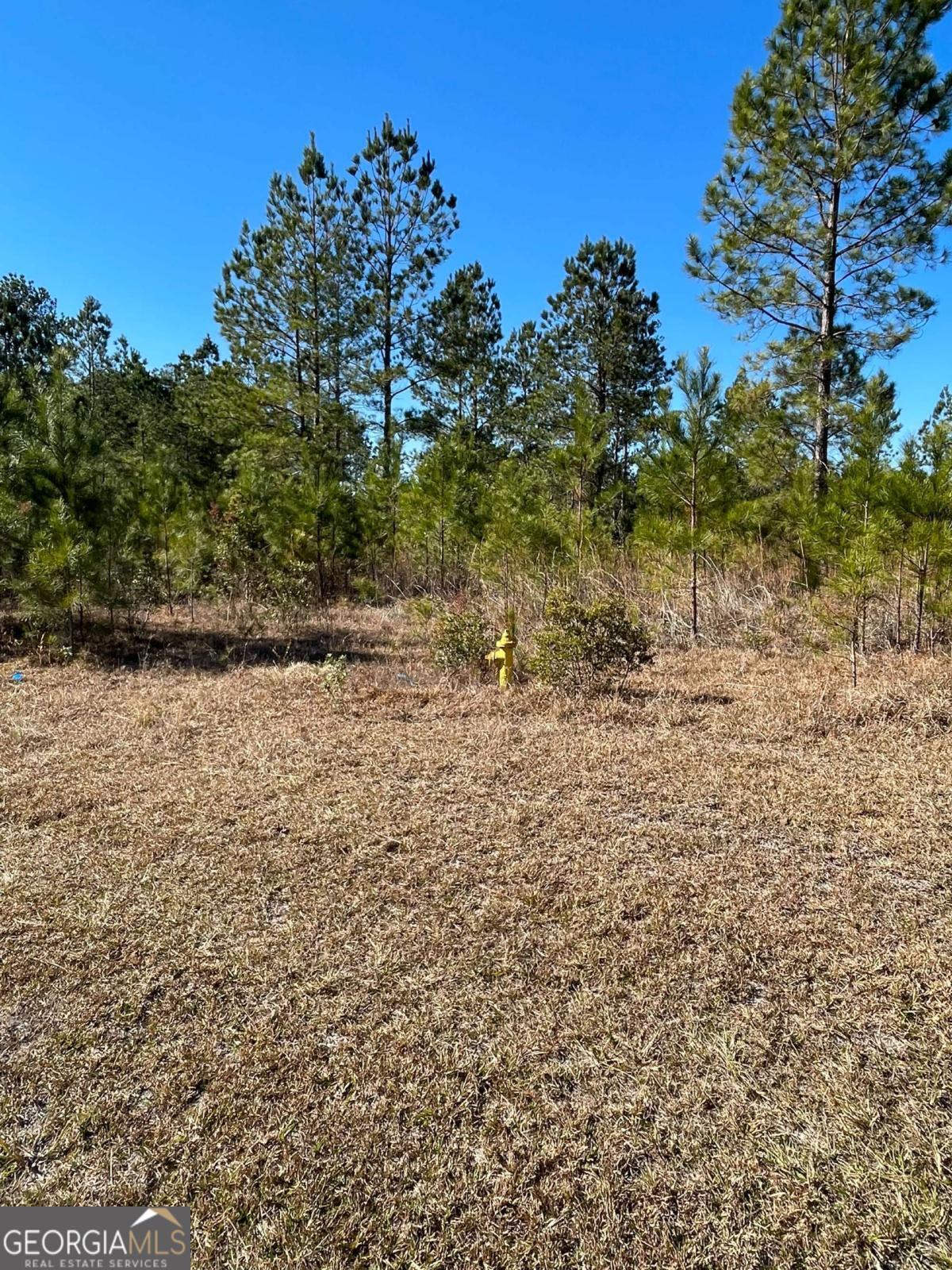0 Landing Trail Property Photo 1