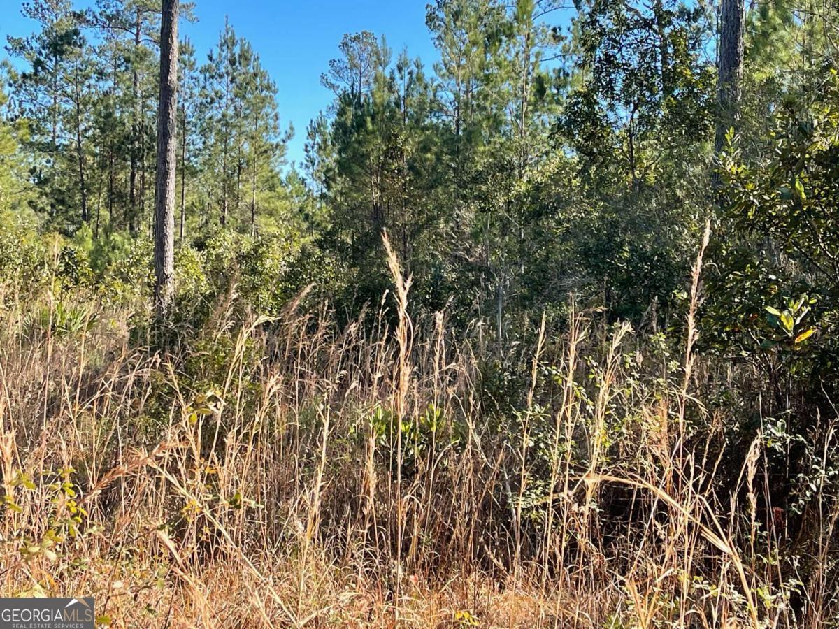 0 Landing Trail Property Photo 2