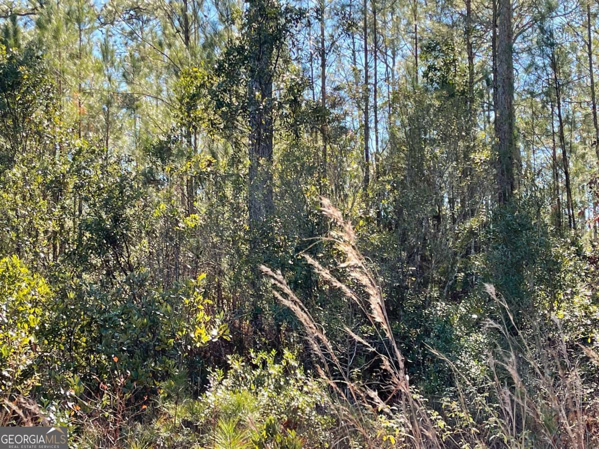 0 Landing Trail Property Photo 4