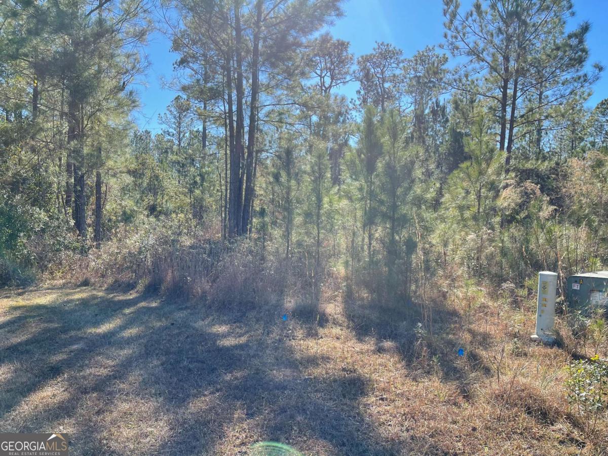 0 Landing Trail Property Photo 6