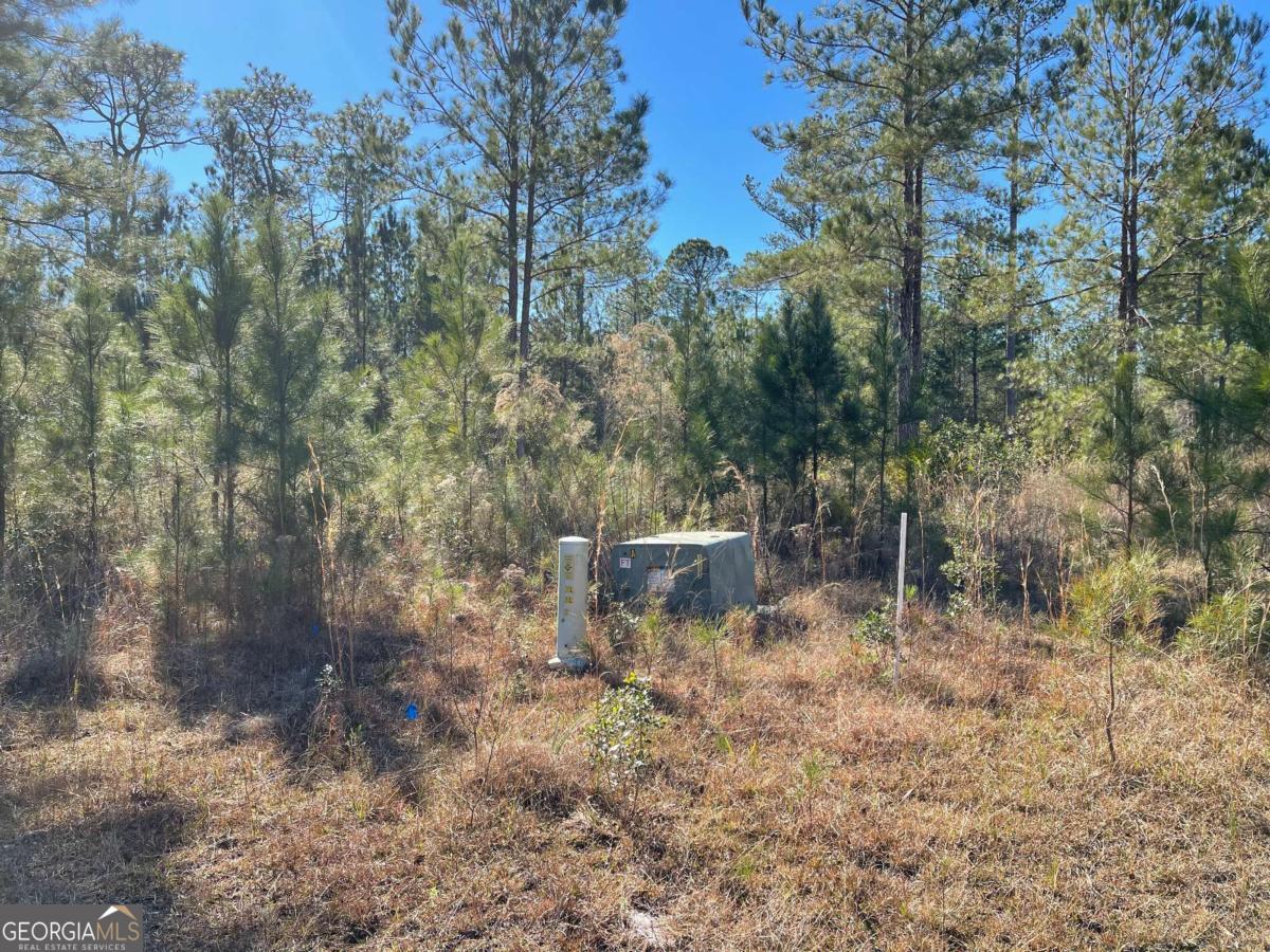 0 Landing Trail Property Photo 7