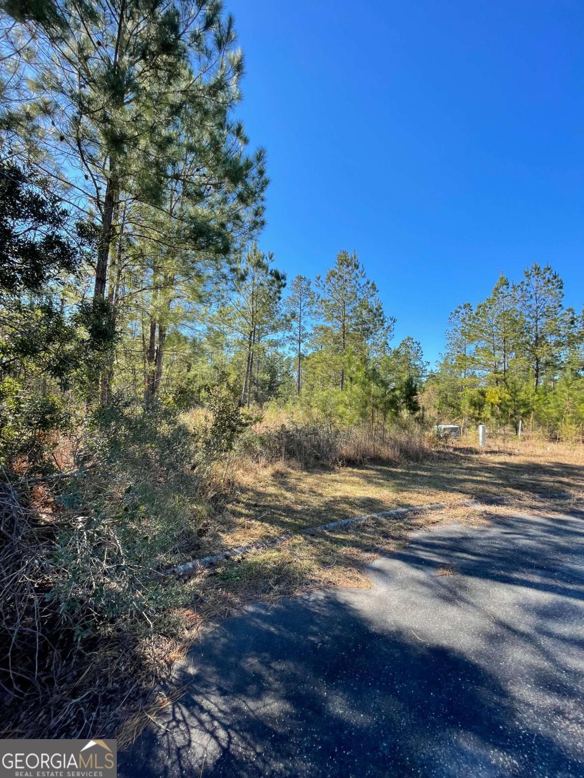 0 Landing Trail Property Photo 11