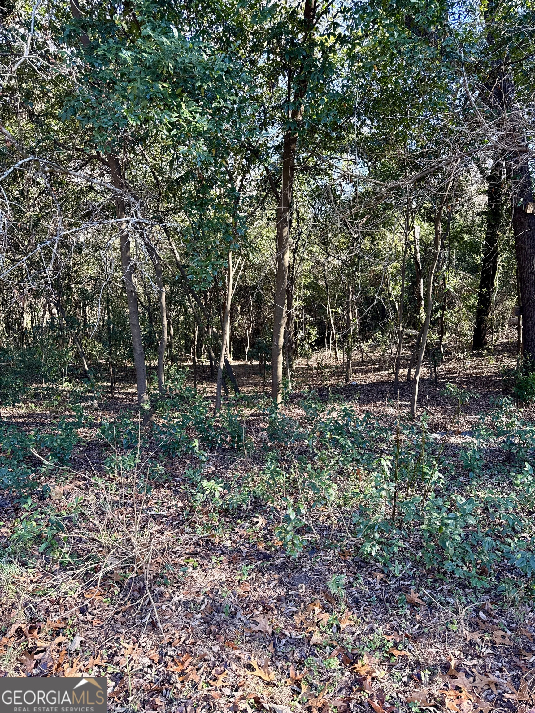 104 Sandy Run Drive Property Photo 26