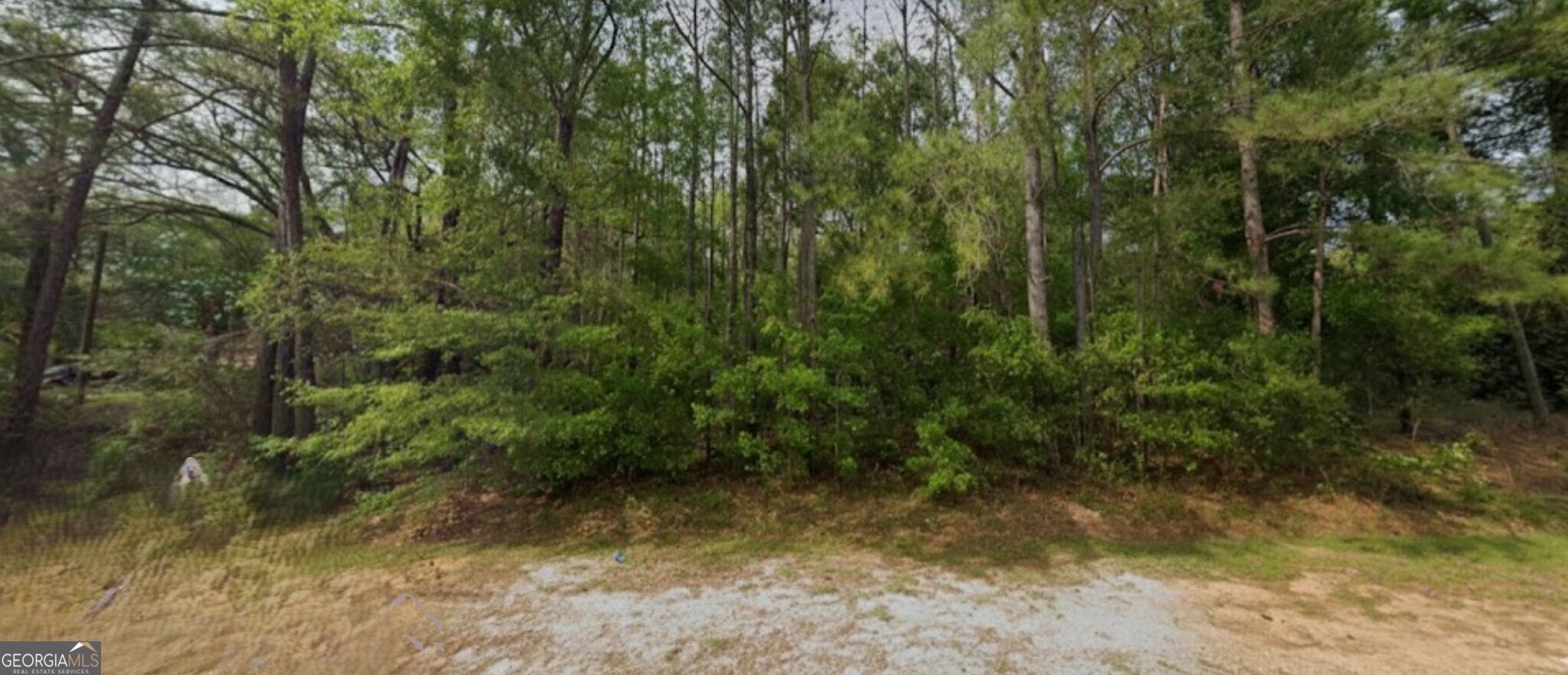 154 Broach Avenue Property Photo 3