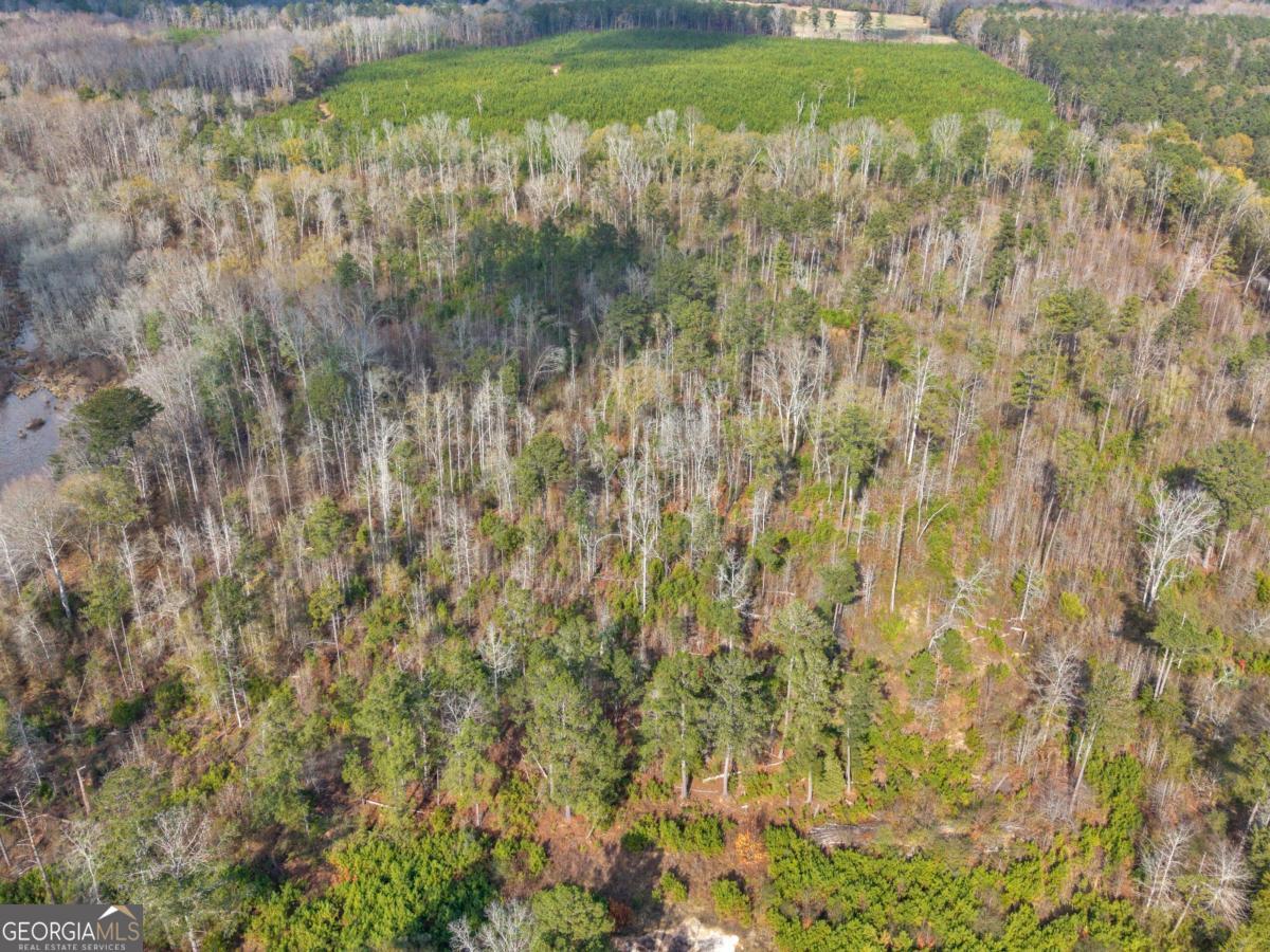 481 Turner Road Property Photo 44