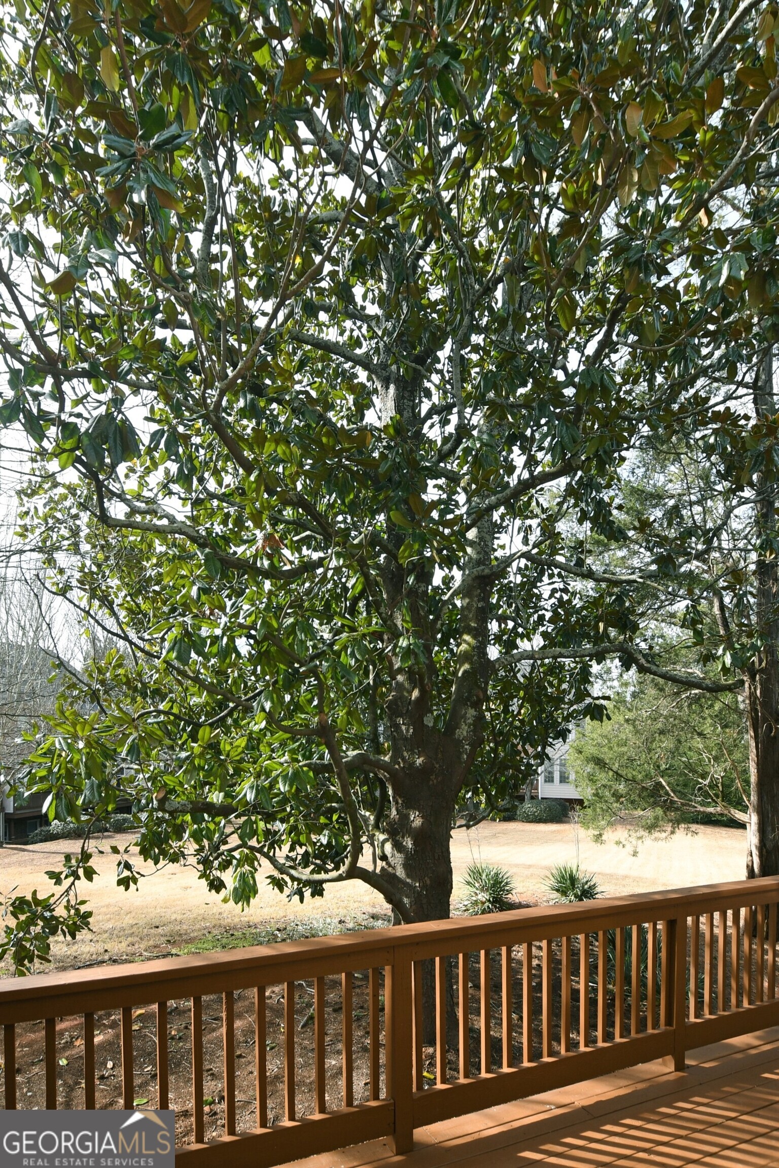 1507 Legacy Cove Lane Property Photo 44