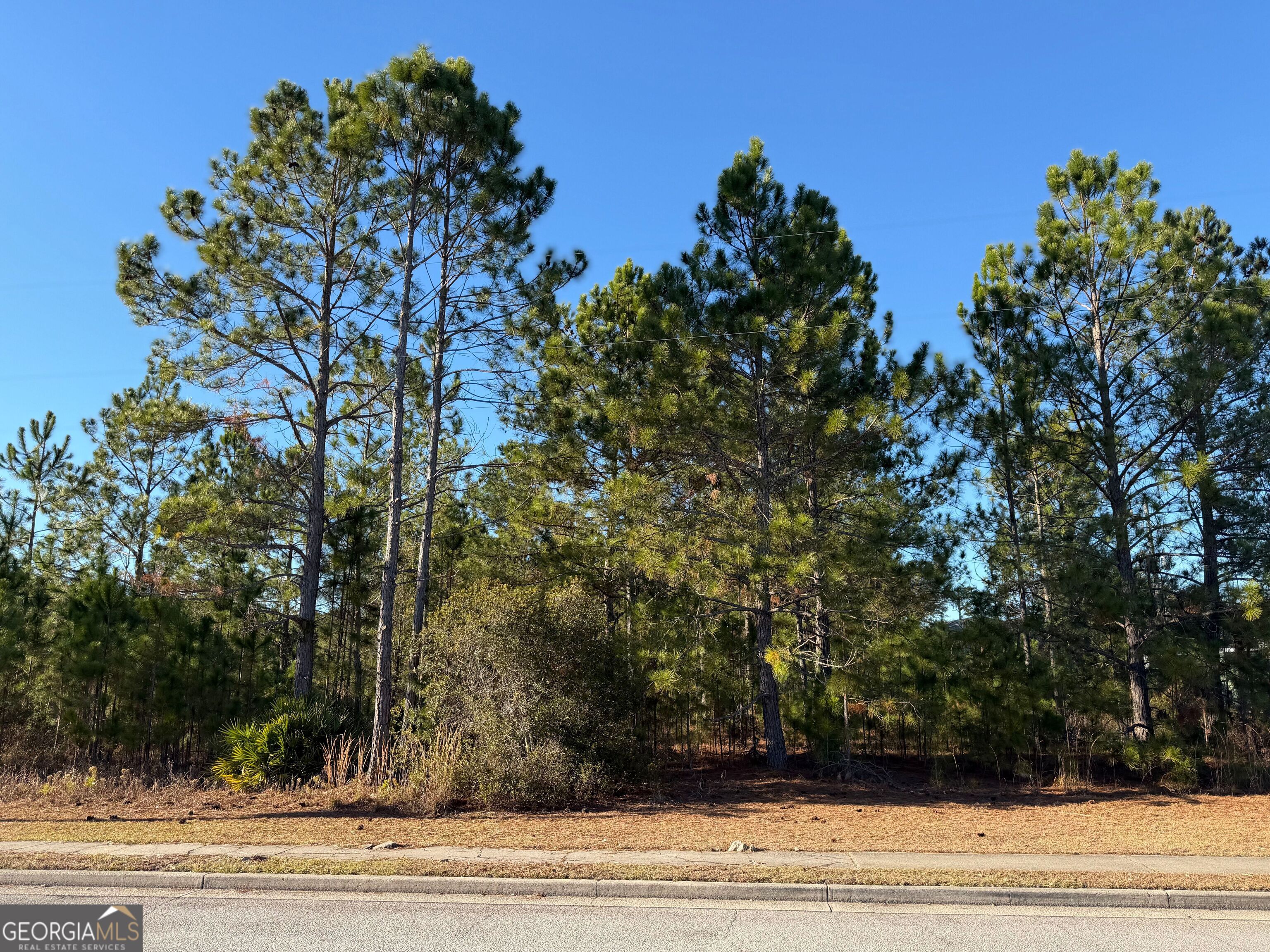 0 Weeping Willow Drive Property Photo 1