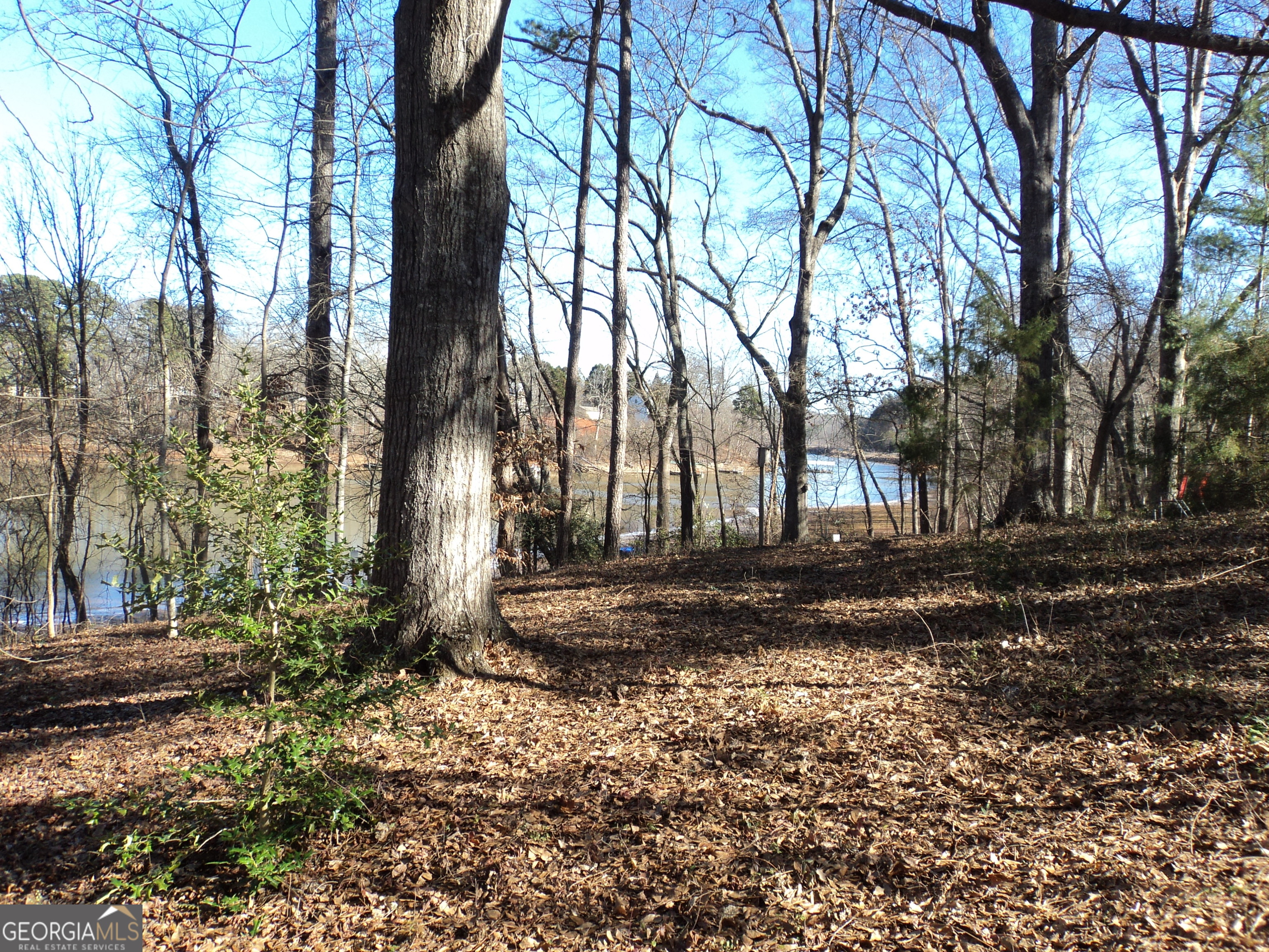 5429 Highway 123 Property Photo 22