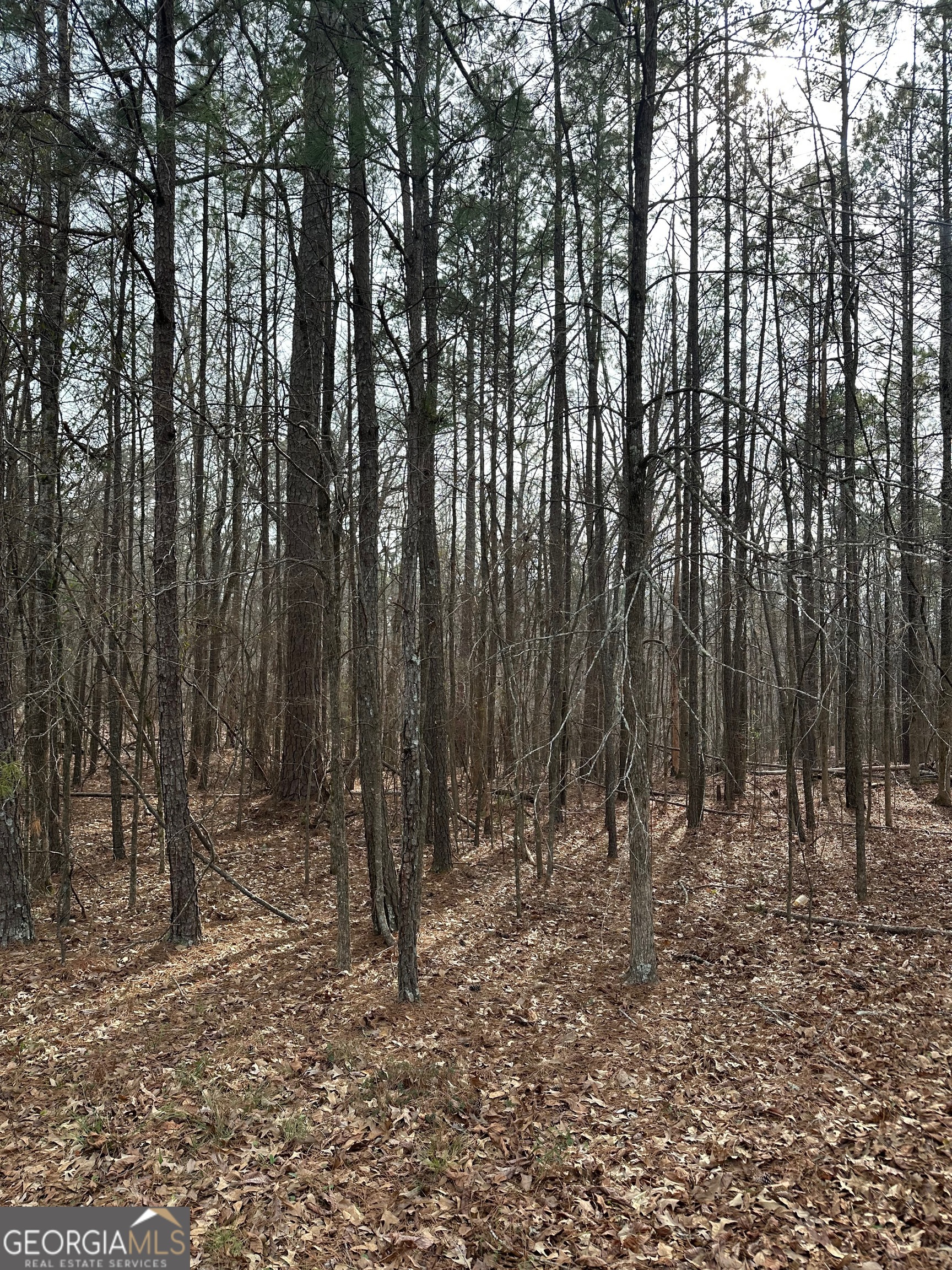 0 Tussahaw Point Drive Property Photo 1