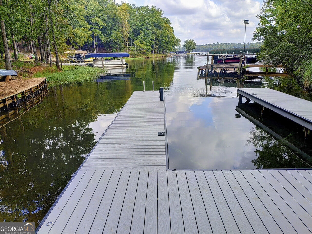 403 Long Shoals Drive Property Photo 1