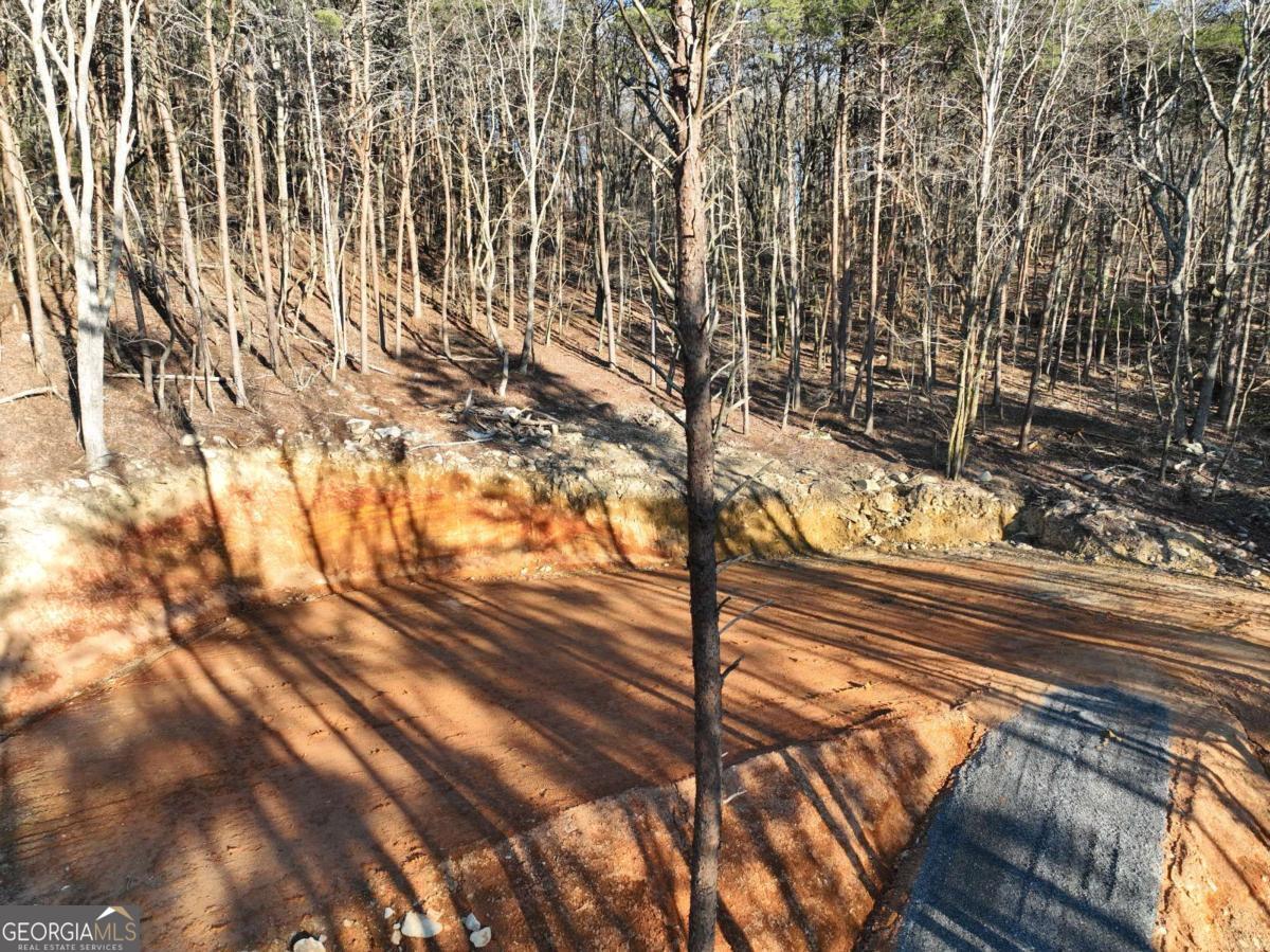 1776 Mulberry Circle Property Photo 3