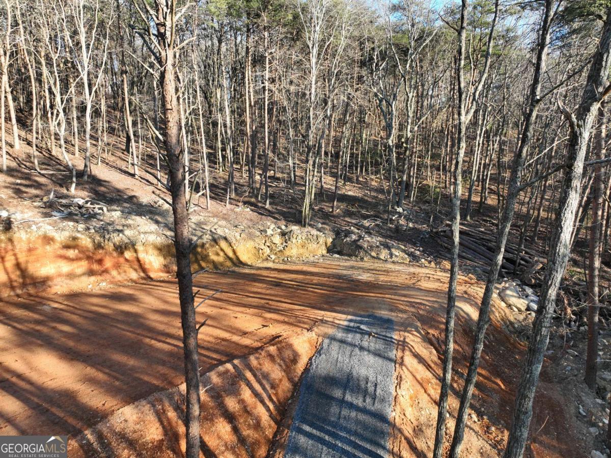 1776 Mulberry Circle Property Photo 4