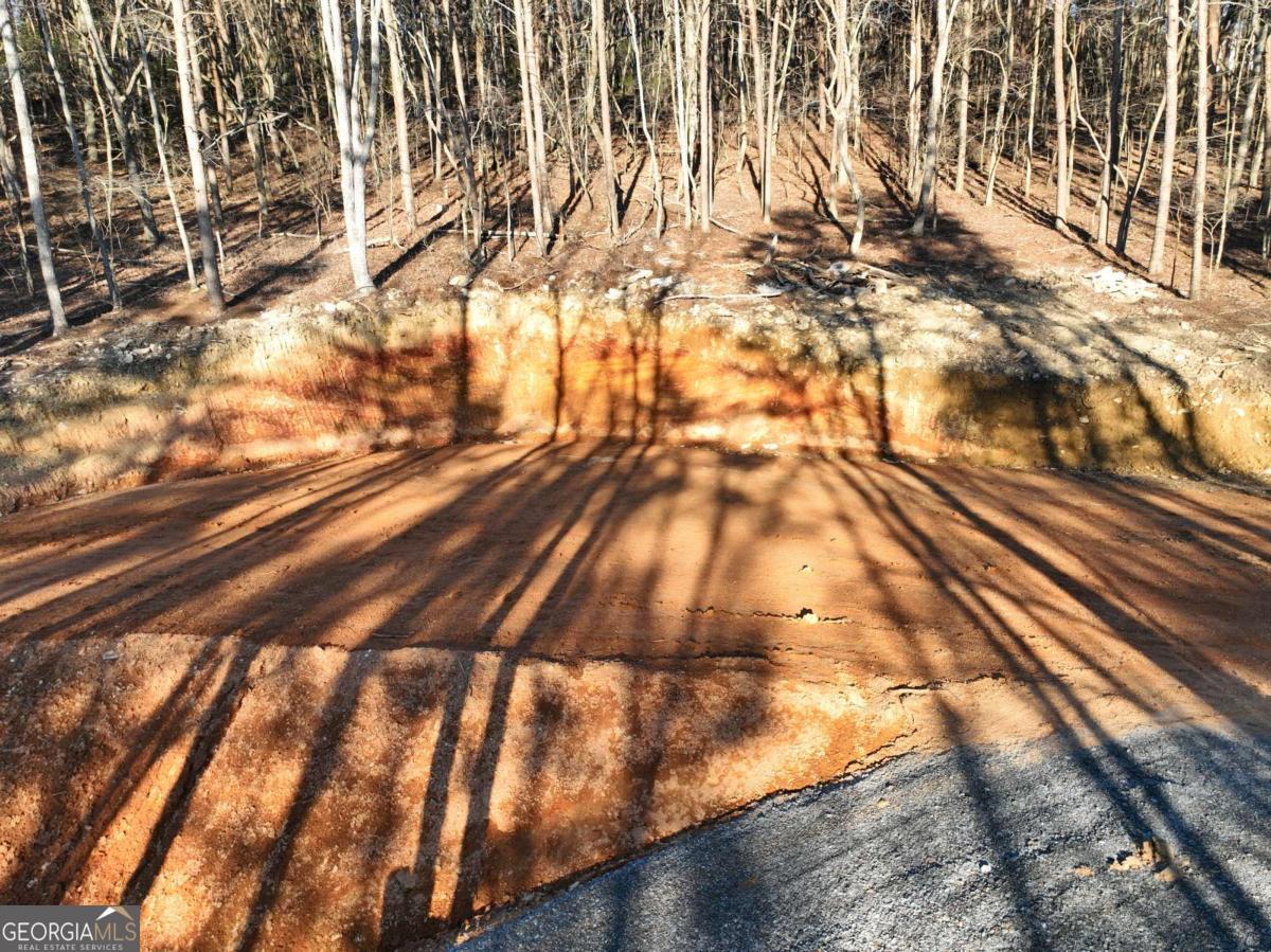 1776 Mulberry Circle Property Photo 7