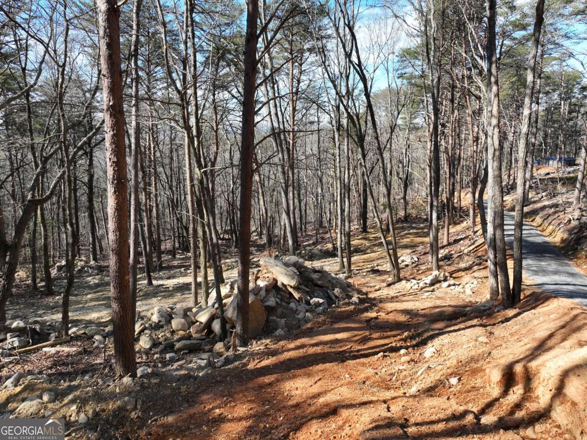 1776 Mulberry Circle Property Photo 10