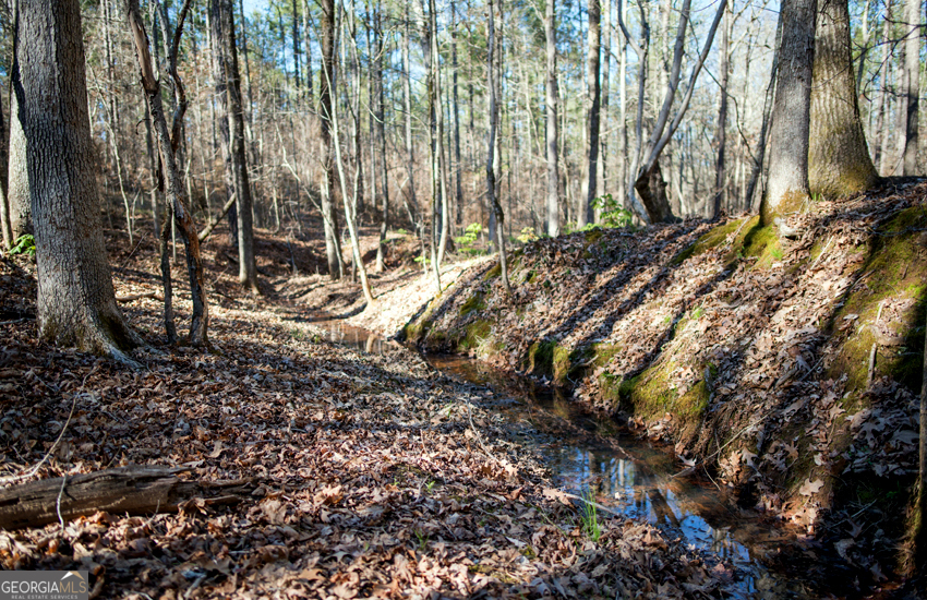 1081 Apalachee Ridge Property Photo 101