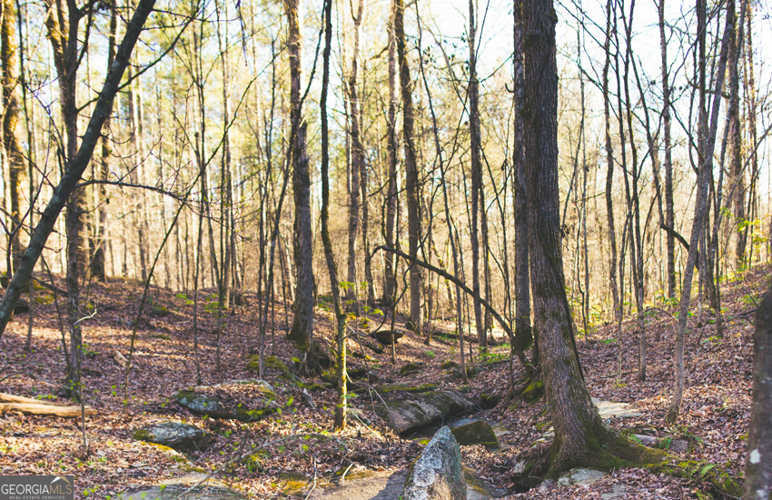 1081 Apalachee Ridge Property Photo 108