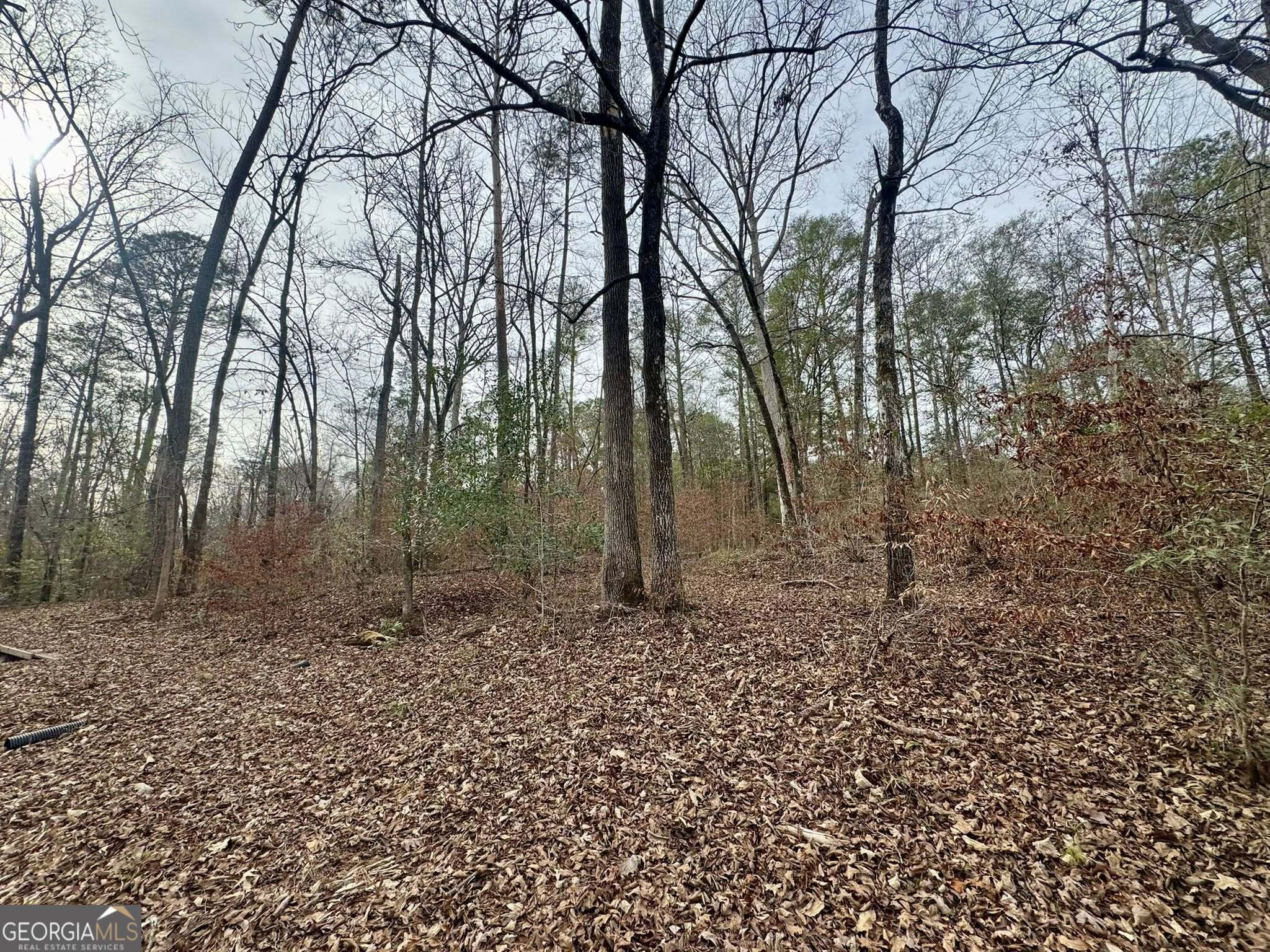0 Hatchee Ridge Road Property Photo 8