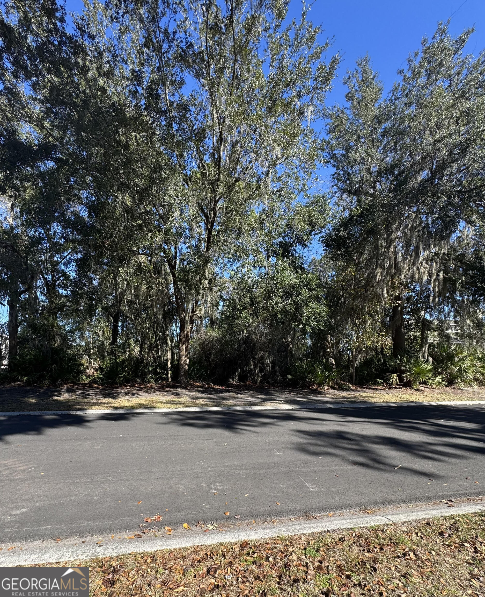 0 Carrington Court Property Photo 3