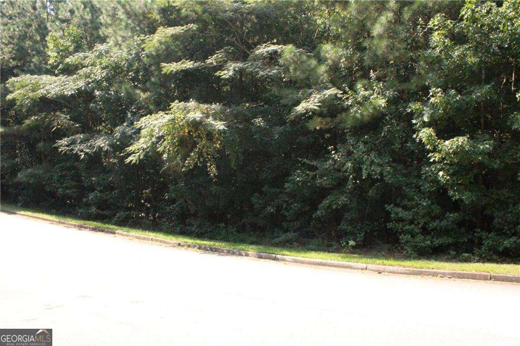8747 Camron Drive Property Photo 16