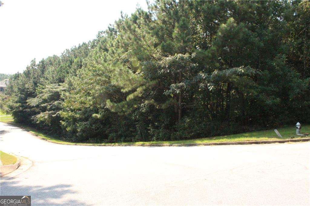 8747 Camron Drive Property Photo 17