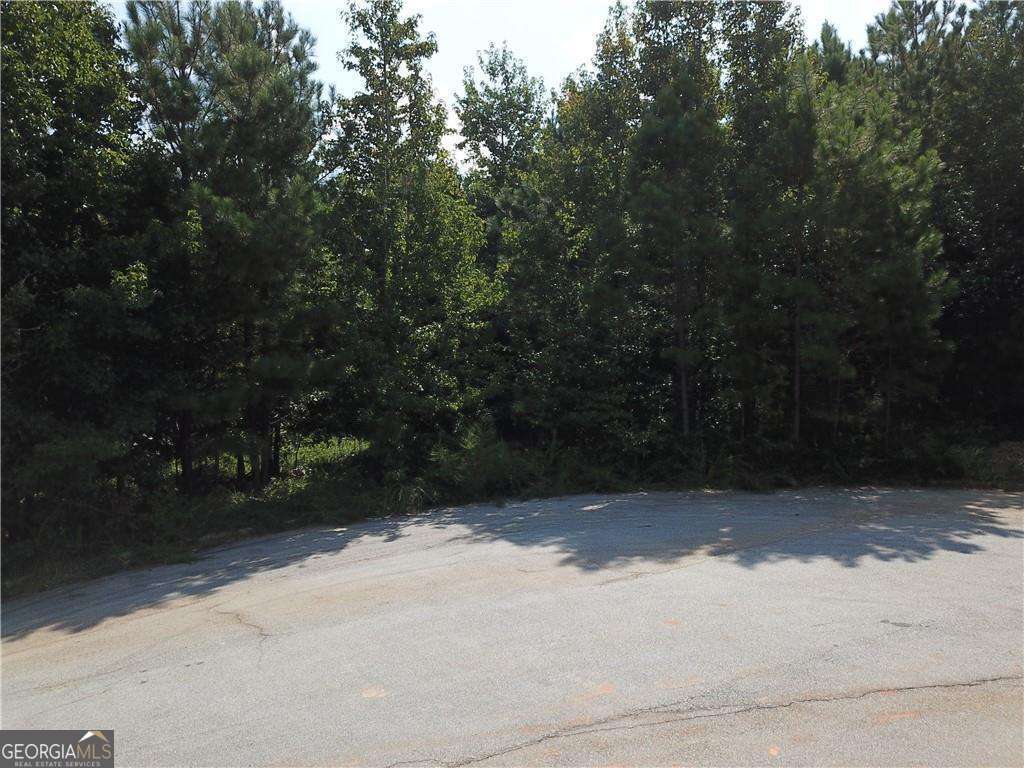 7732 Austin Court Property Photo 3