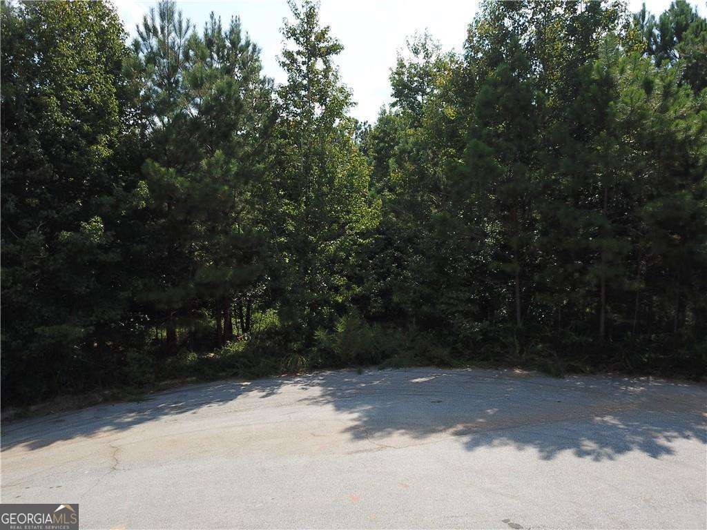 7732 Austin Court Property Photo 5