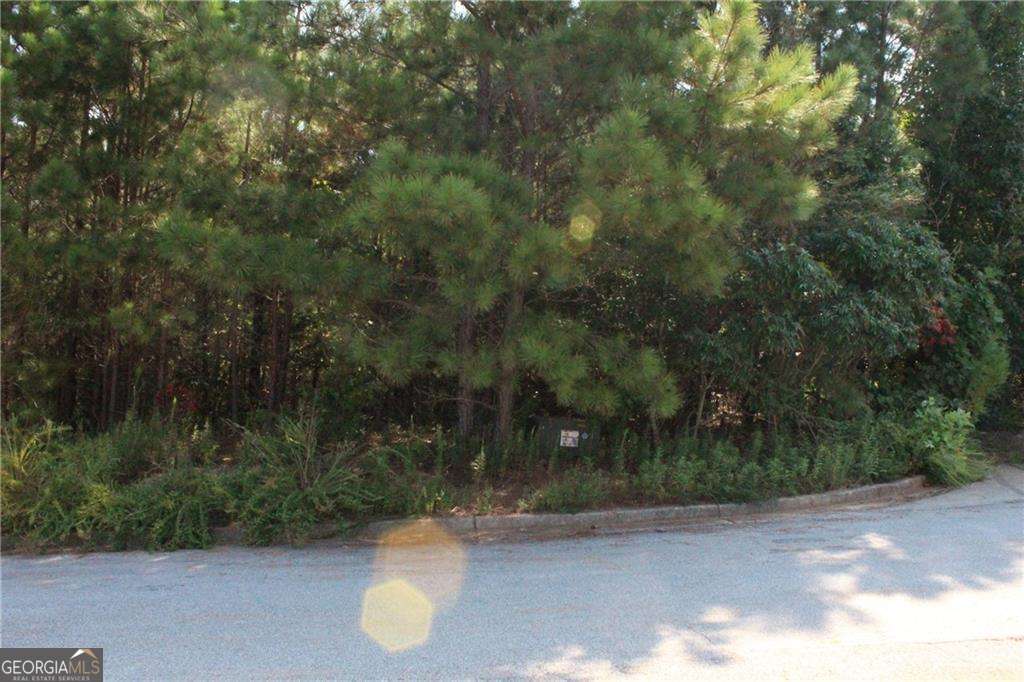 7732 Austin Court Property Photo 16