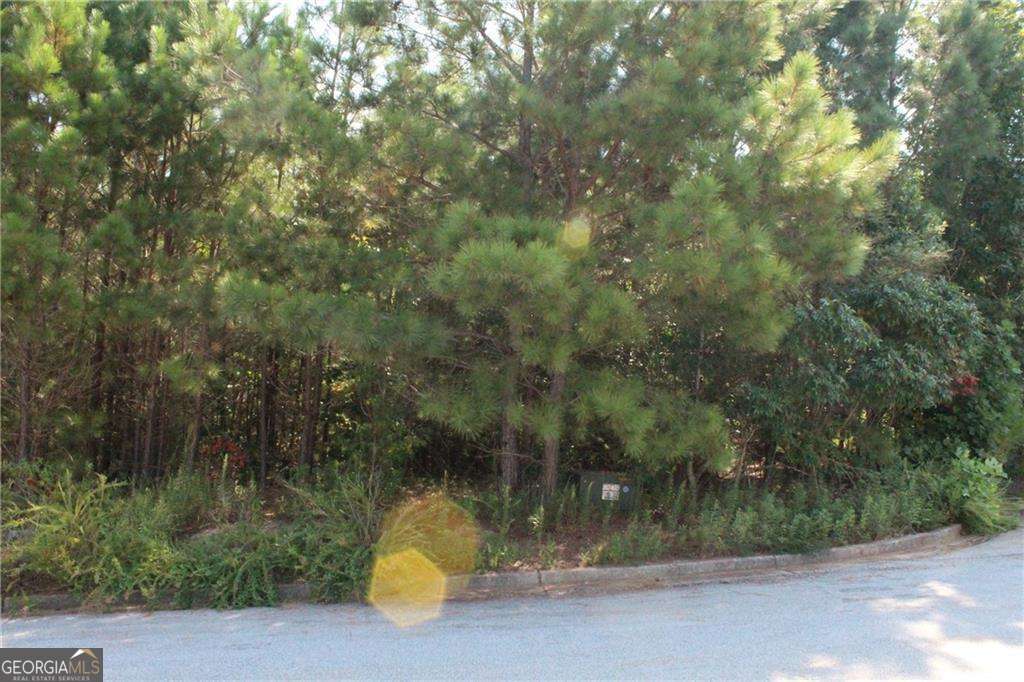7732 Austin Court Property Photo 18