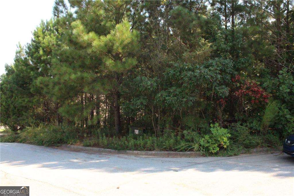 7732 Austin Court Property Photo 23