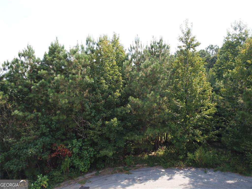 7722 Austin Court Property Photo 2