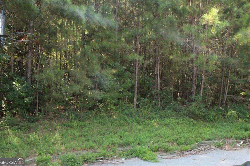 7728 Cheviot Drive Property Photo 14
