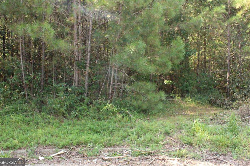 7728 Cheviot Drive Property Photo 15