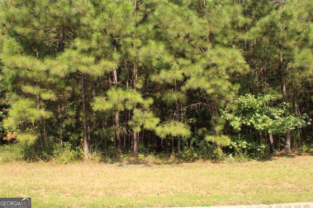7699 Cheviot Drive Property Photo 8